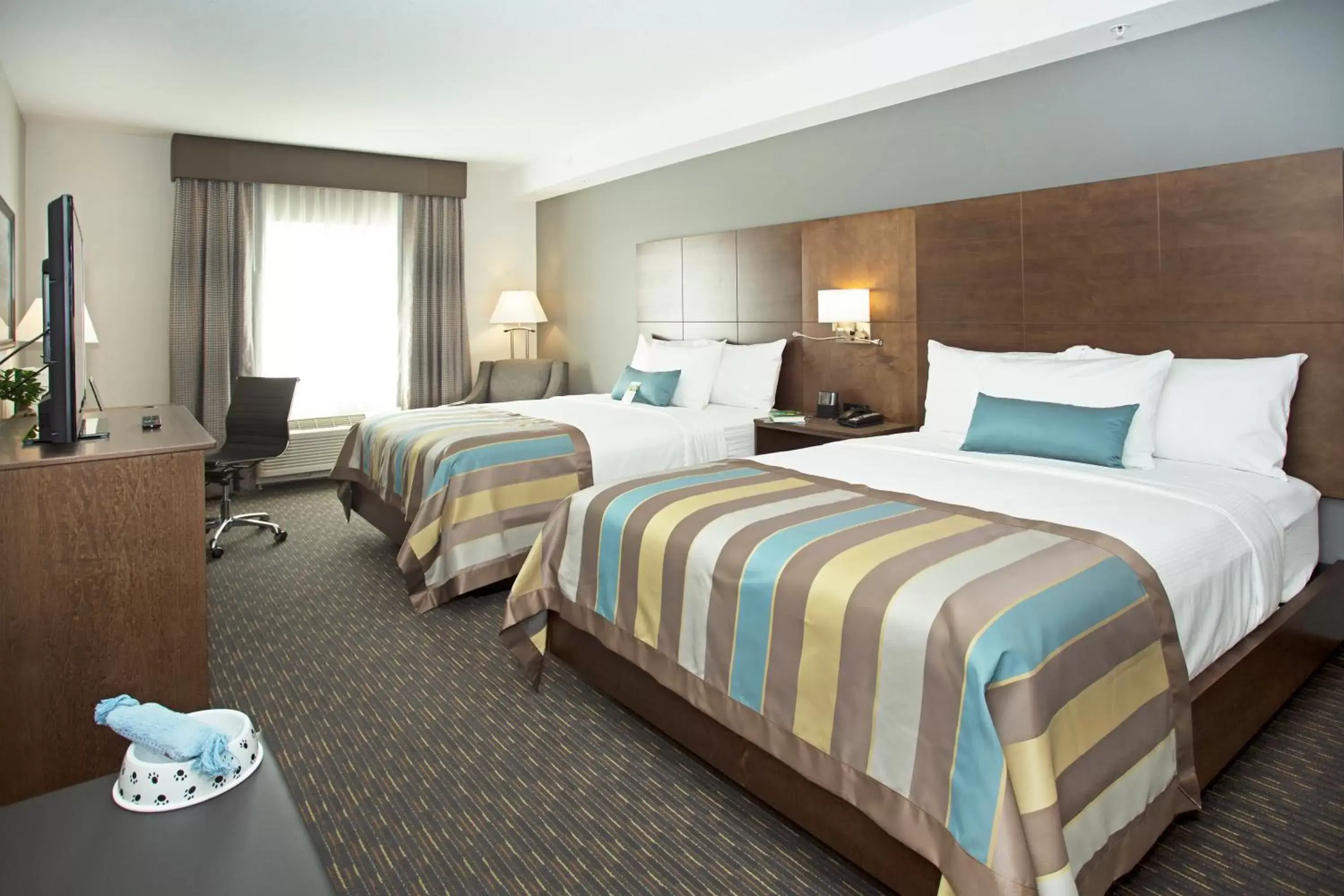 Bed in Wingate by Wyndham Calgary Airport