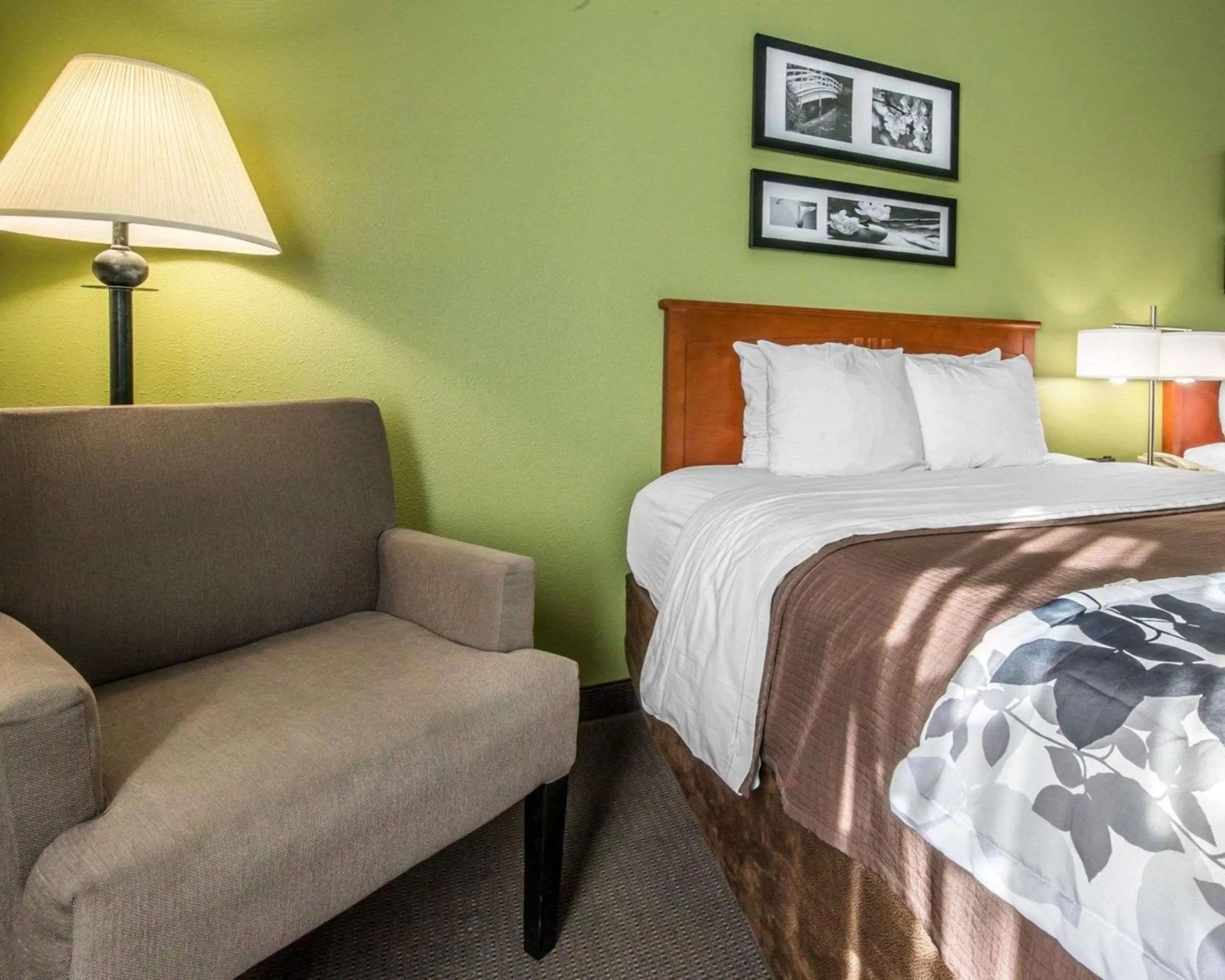 Photo of the whole room, Bed in Sleep Inn & Suites Winchester near University