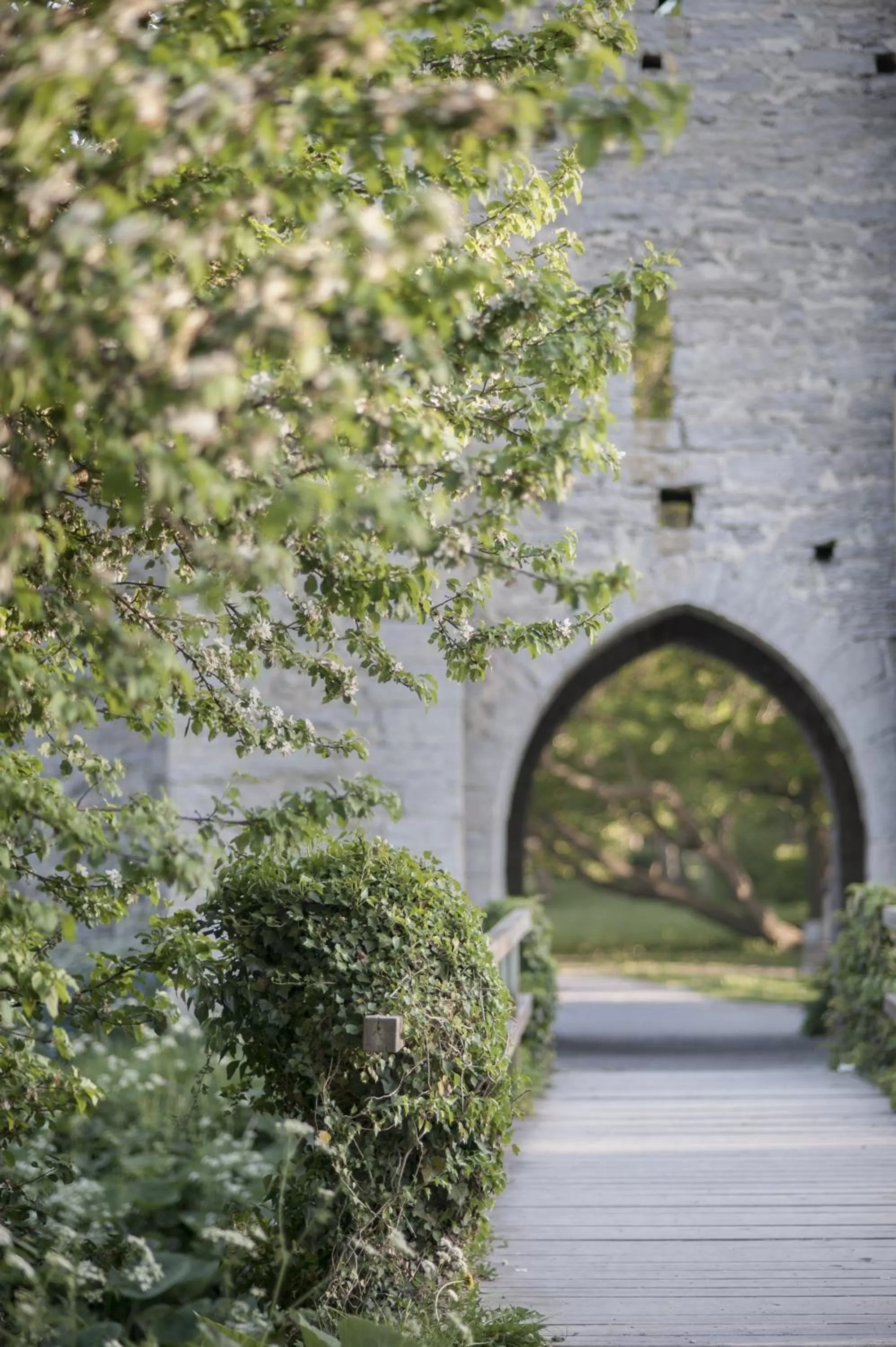 Area and facilities in Hotell Repet