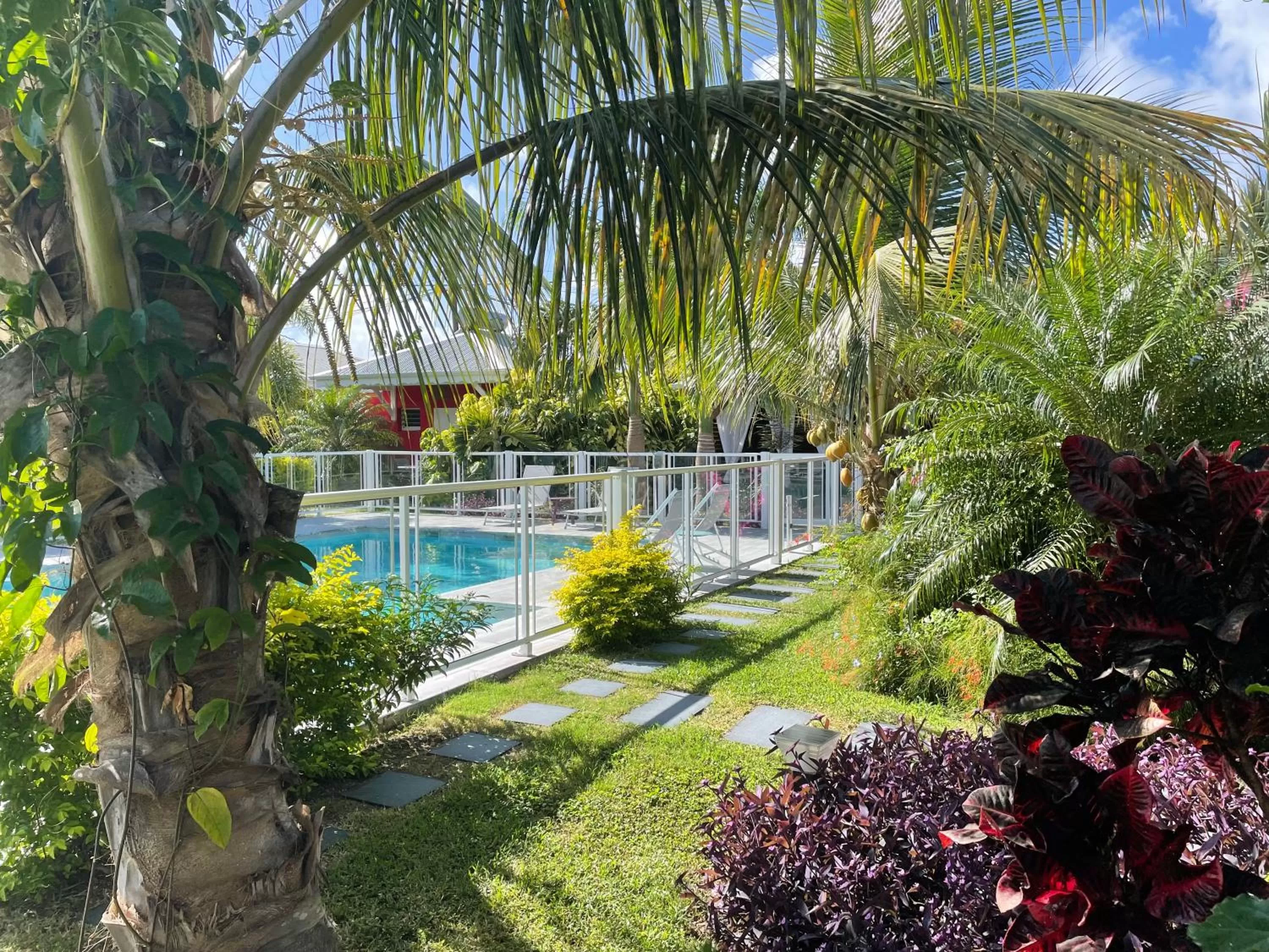 Garden in Hôtel & Villa Le Cocotel