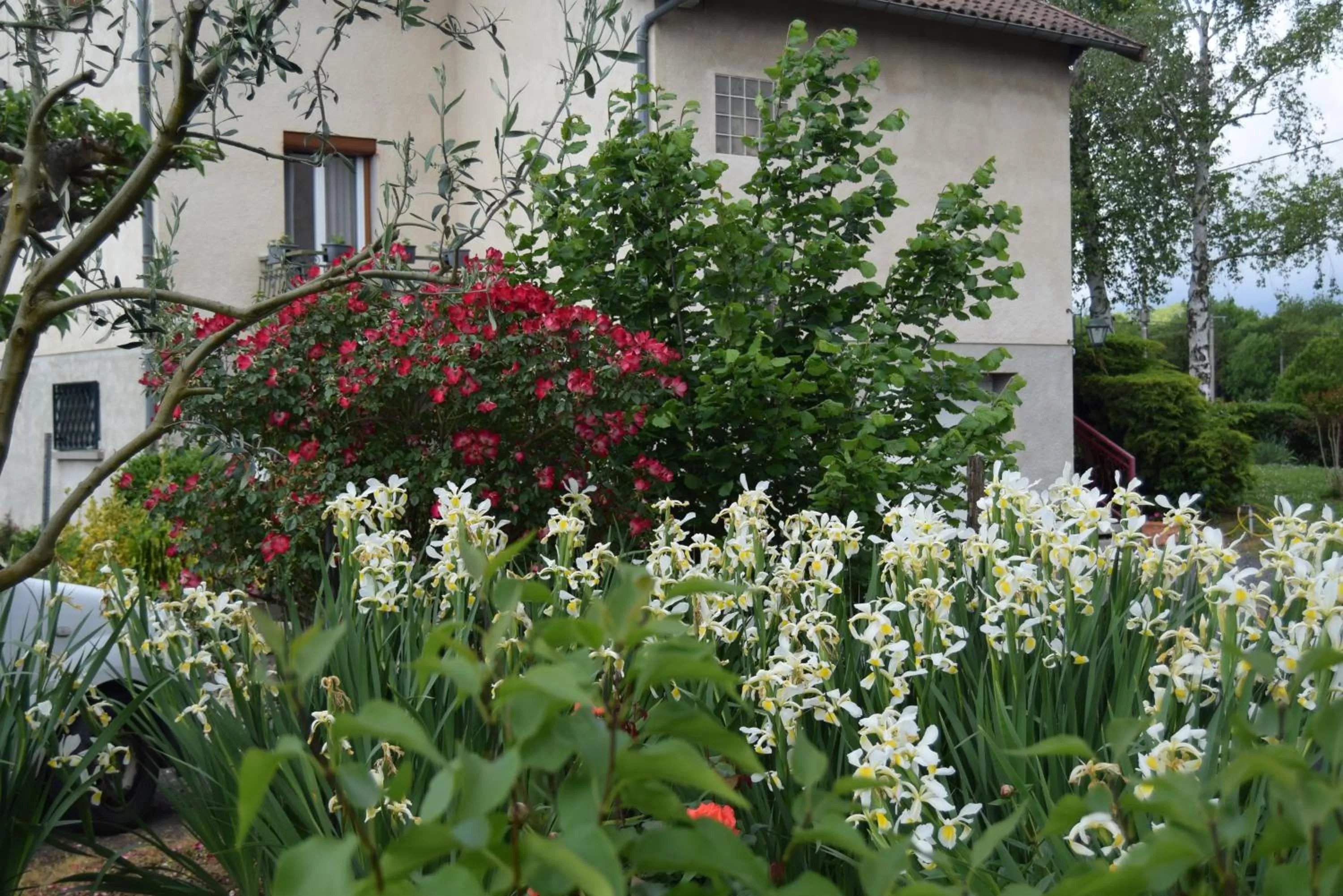 Garden in Le Nid de l'Ecureuil