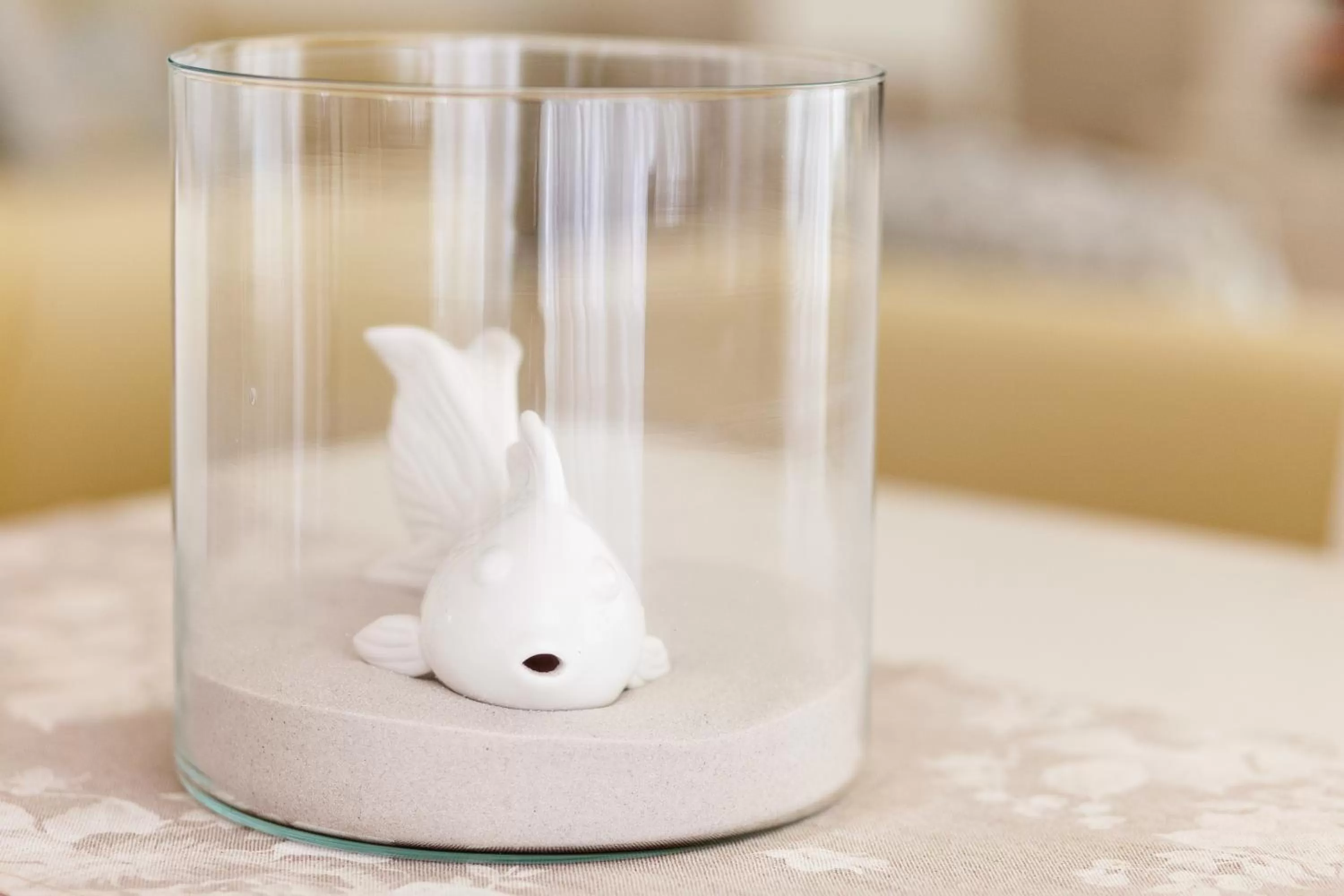 Activities in HG Hotel Il Settebello