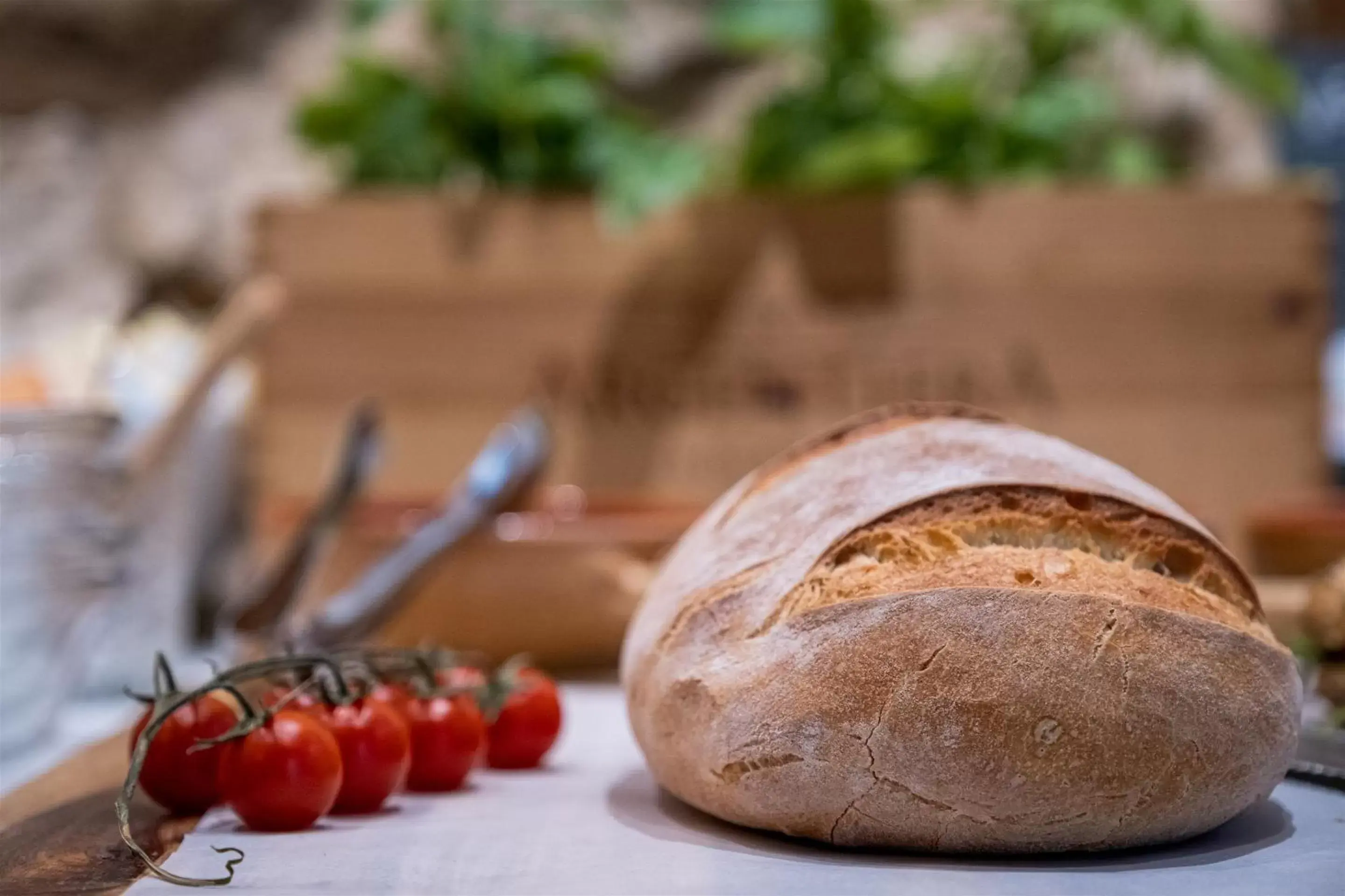 Continental breakfast, Food in Palazzo Gilistro