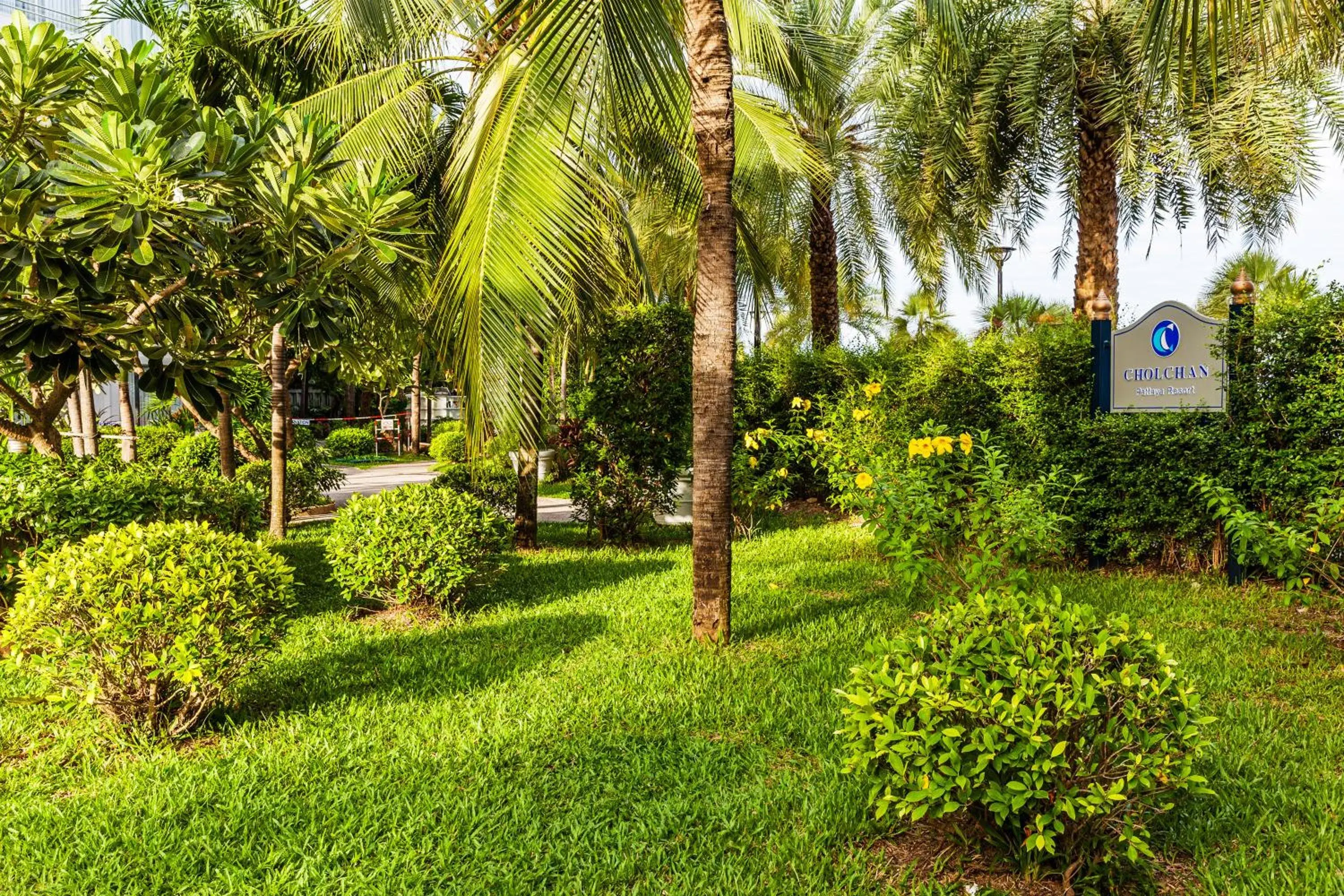 Garden in Cholchan Pattaya Beach Resort - SHA Extra Plus