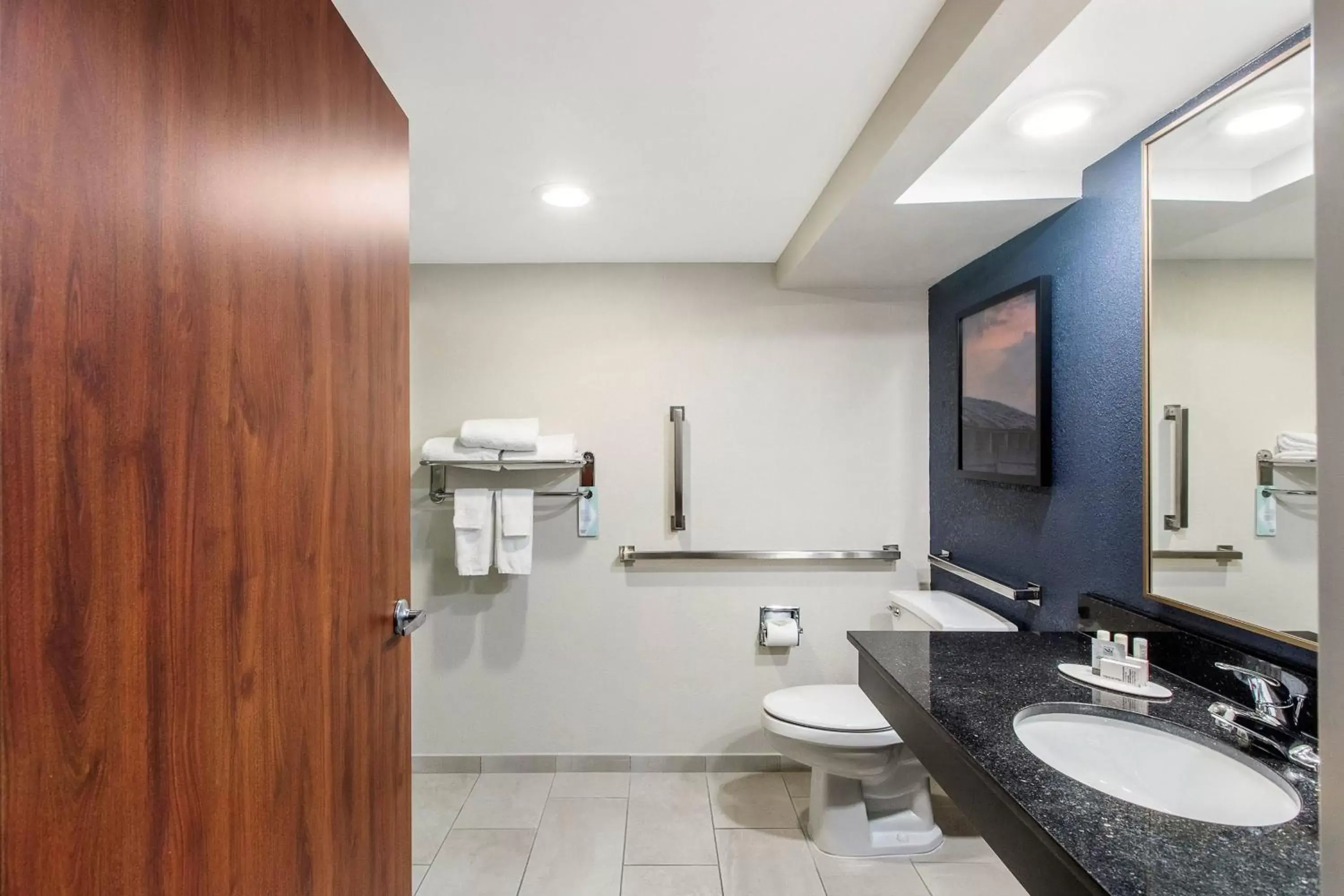 Bathroom in Fairfield Inn by Marriott Evansville East