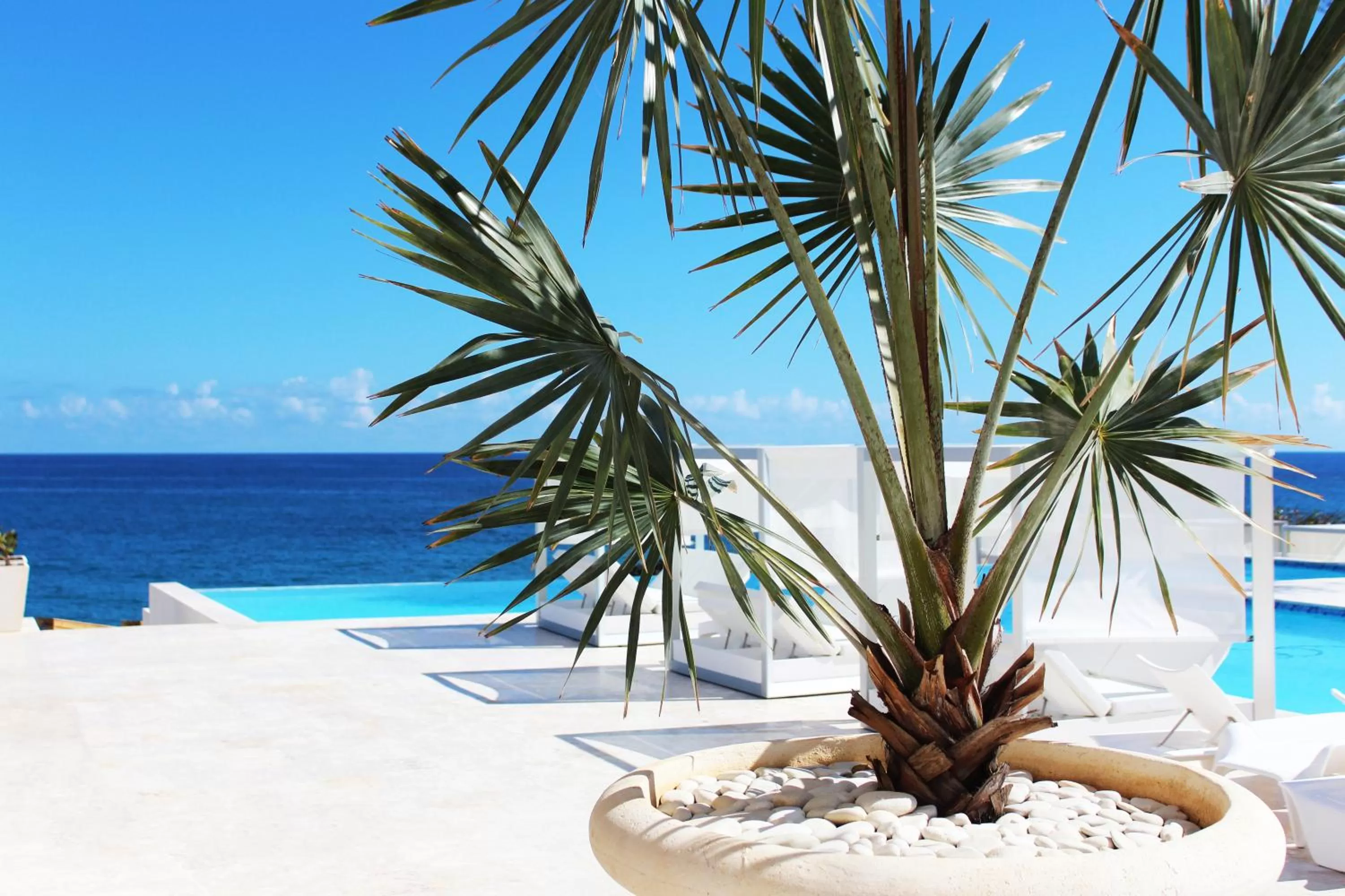 Lounge or bar, Swimming Pool in Ocean Village Deluxe Resort & Spa