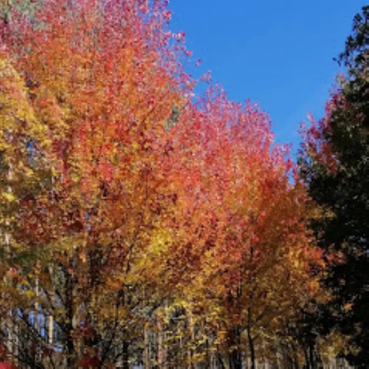 Nearby landmark in Lar da Mota Boutique Hotel