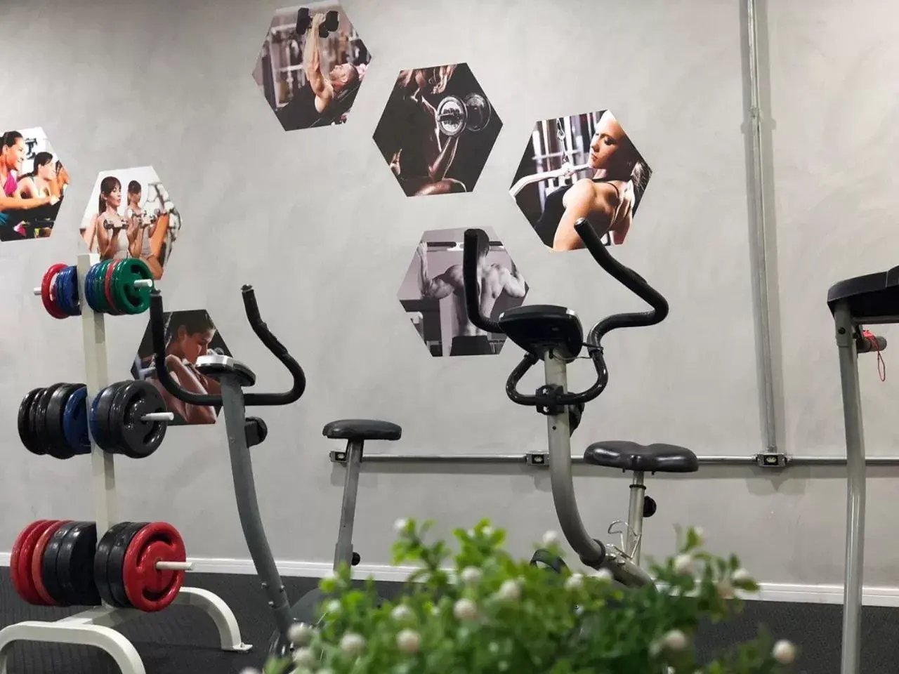 Fitness centre/facilities in Hotel Executive Arrey Fitness centre/facilities in Hotel Executive Arrey