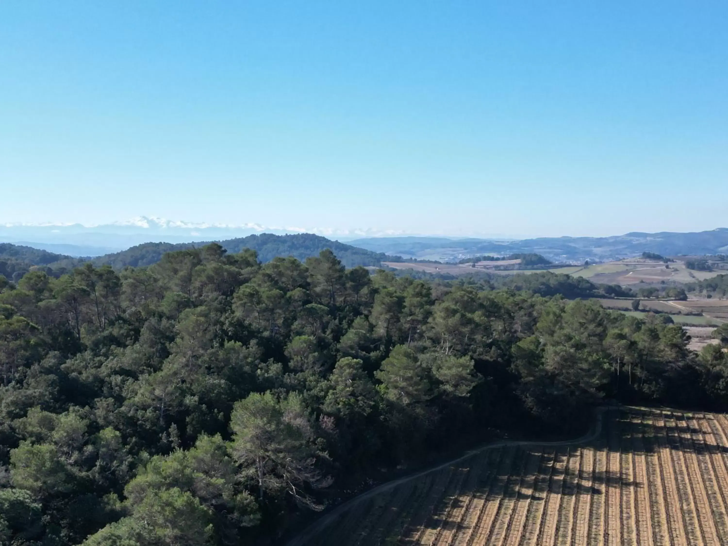 Bird's-eye View in Domaine La Sauzette