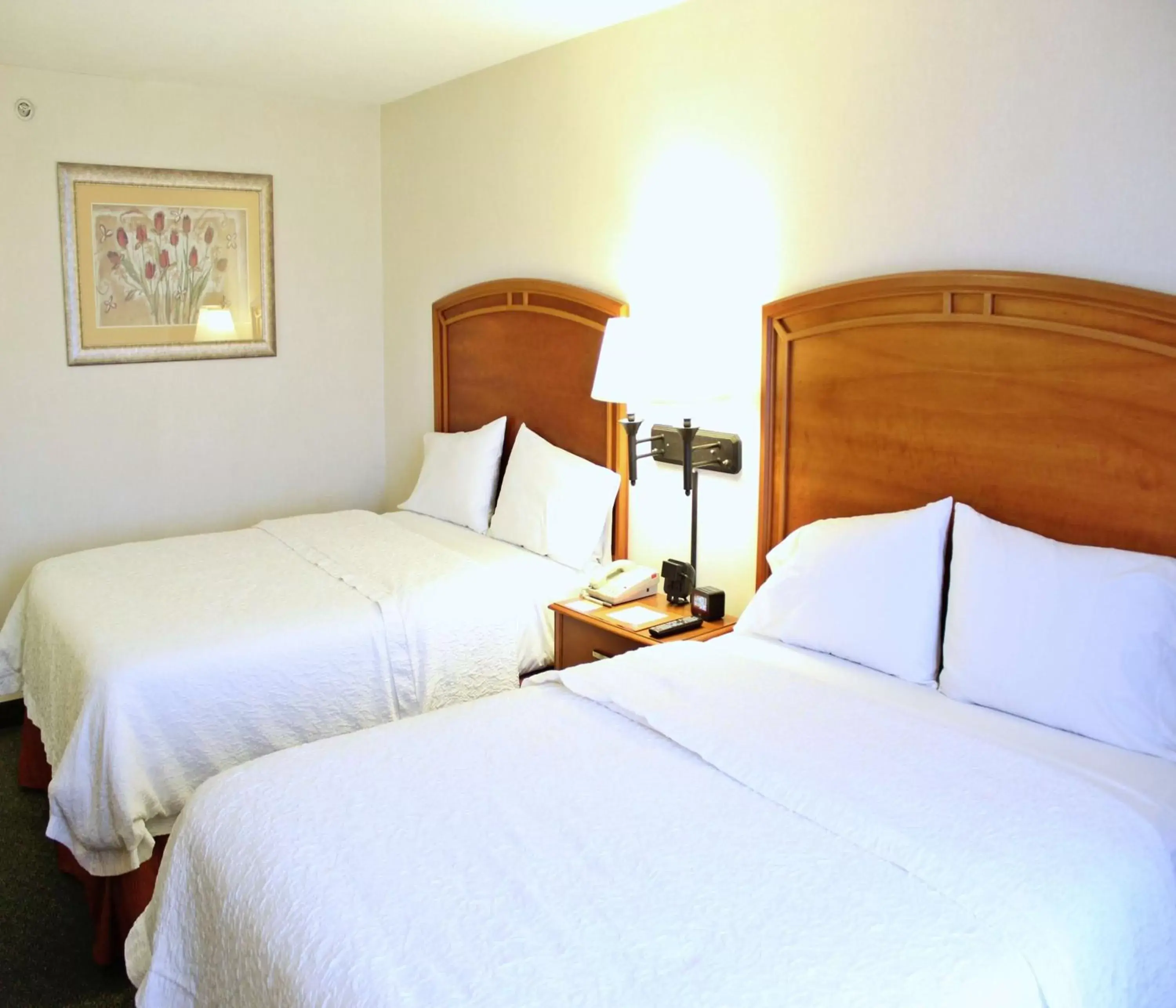 Bed in Hampton by Hilton Saltillo Zona Aeropuerto