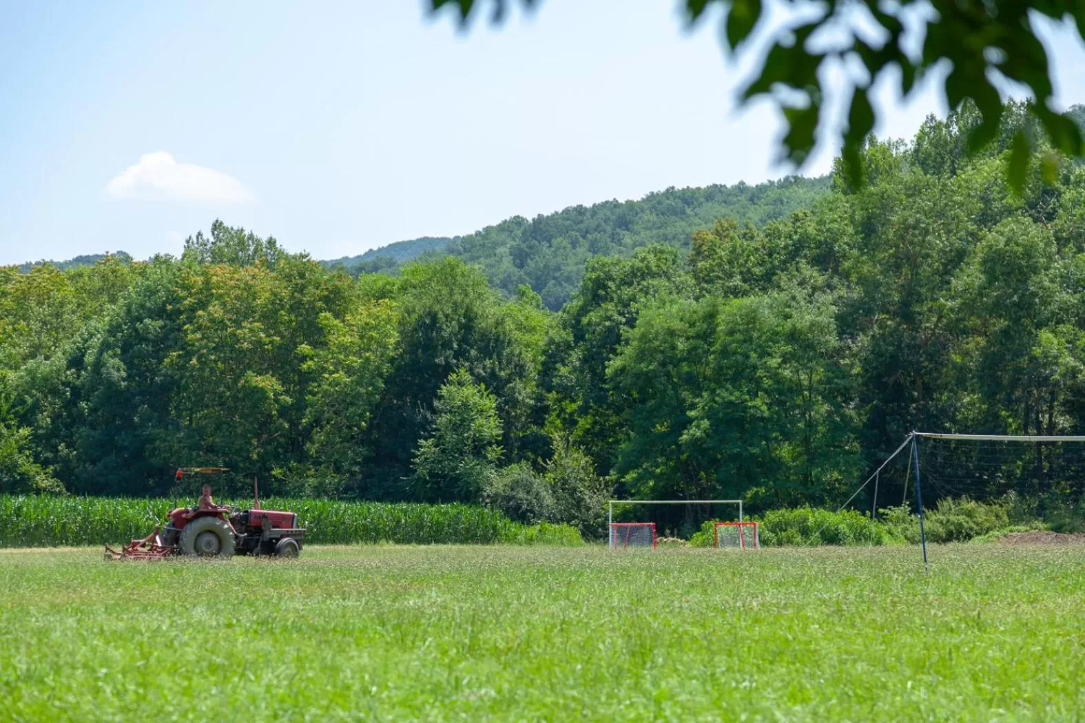 Natural landscape, Other Animals in Le Moulin