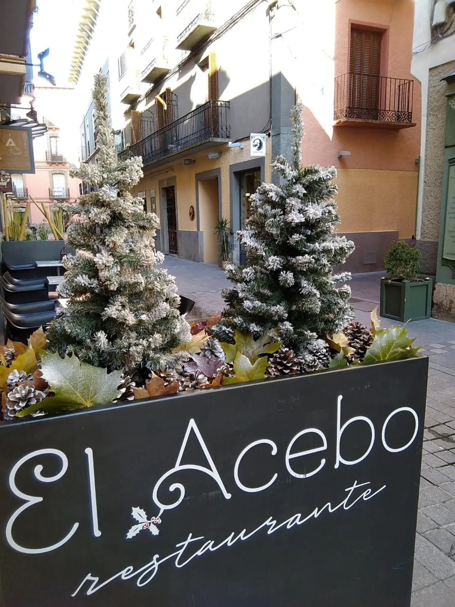 Property logo or sign in Hotel El Acebo