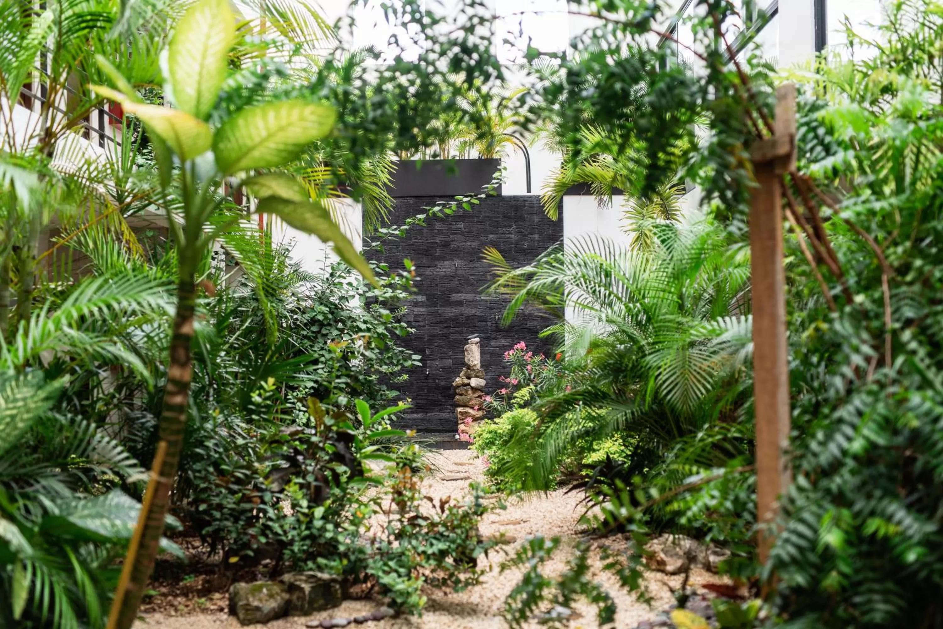 Garden view in Hotel 52 Playa del Carmen