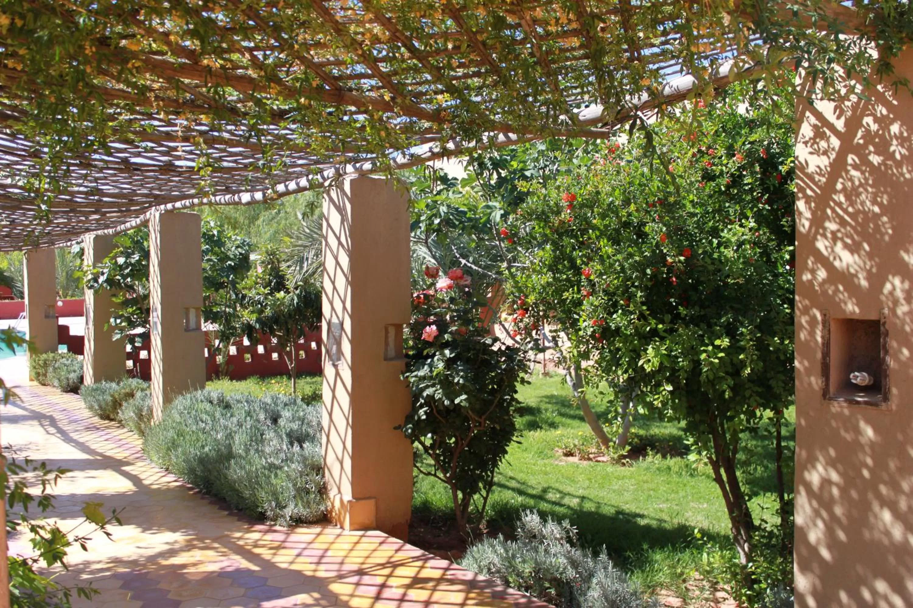 Garden in Auberge Tinit