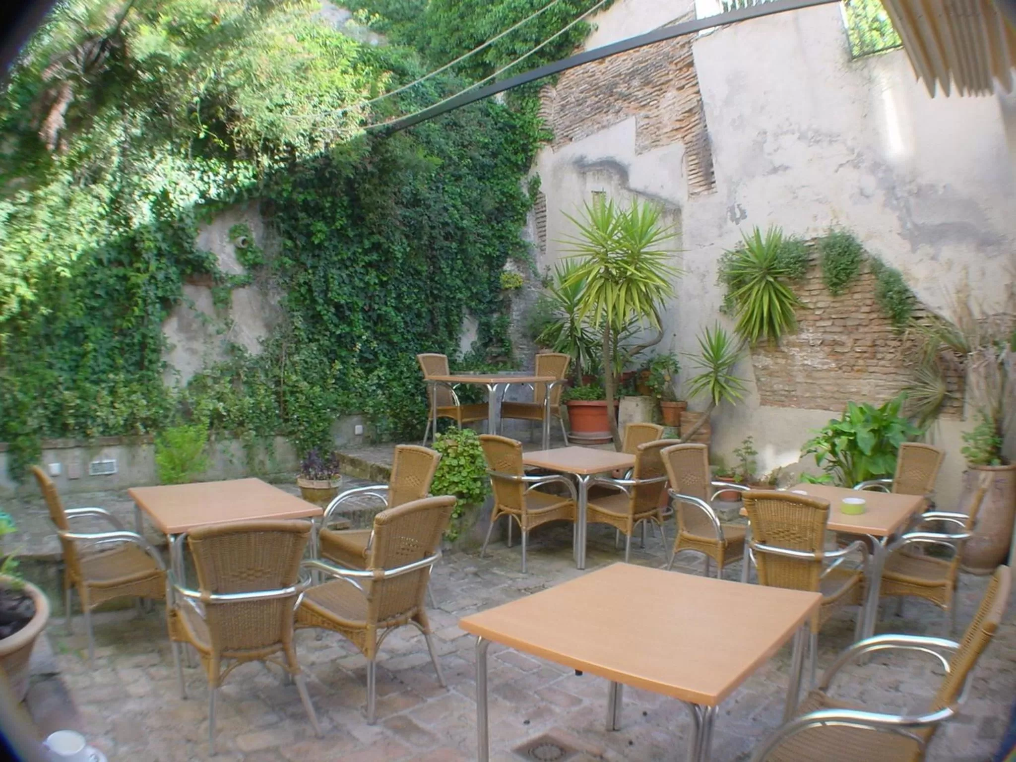 Garden in Hotel Boutique Puerta de las Granadas
