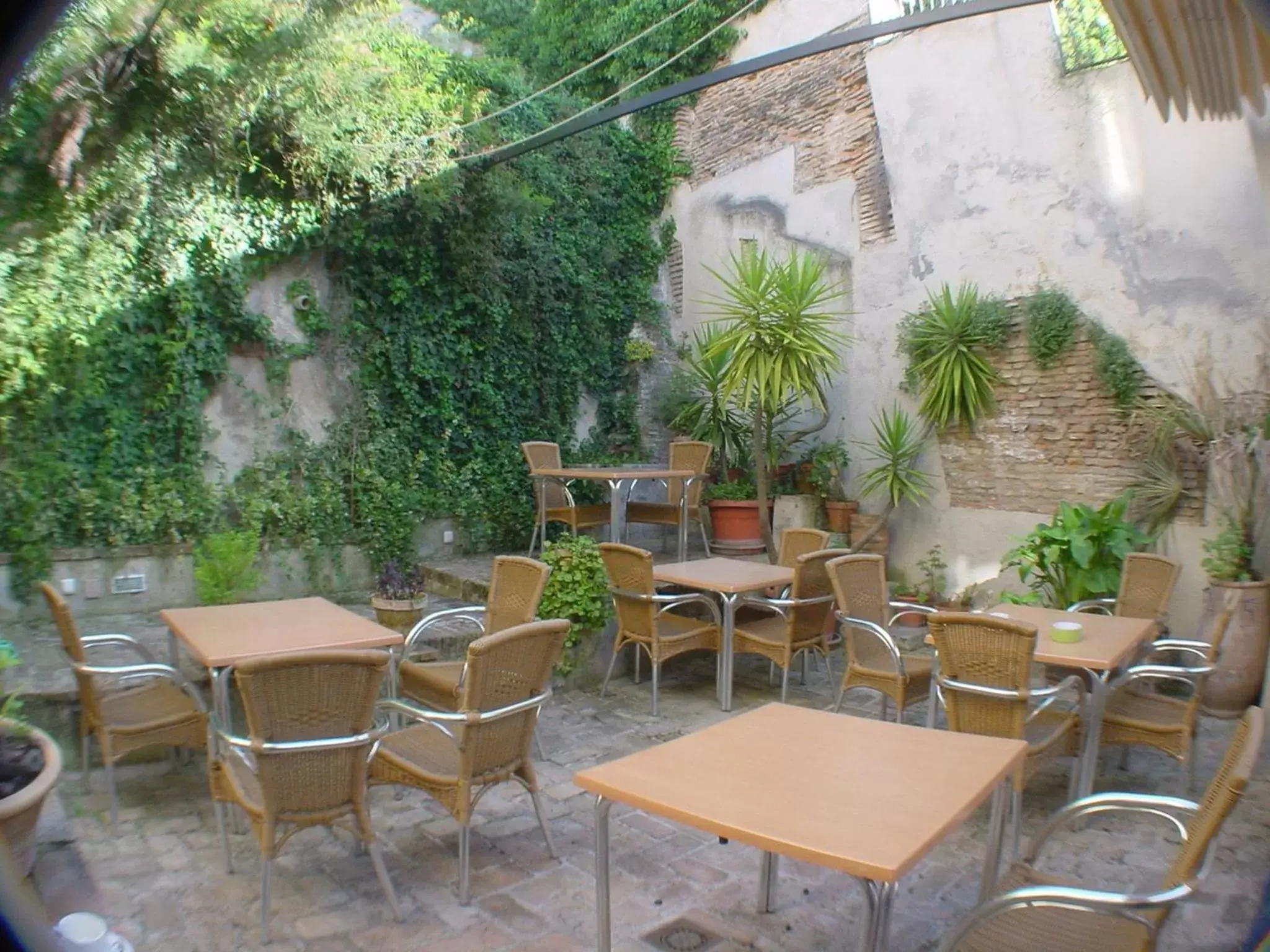 Garden, Restaurant/Places to Eat in Hotel Boutique Puerta de las Granadas