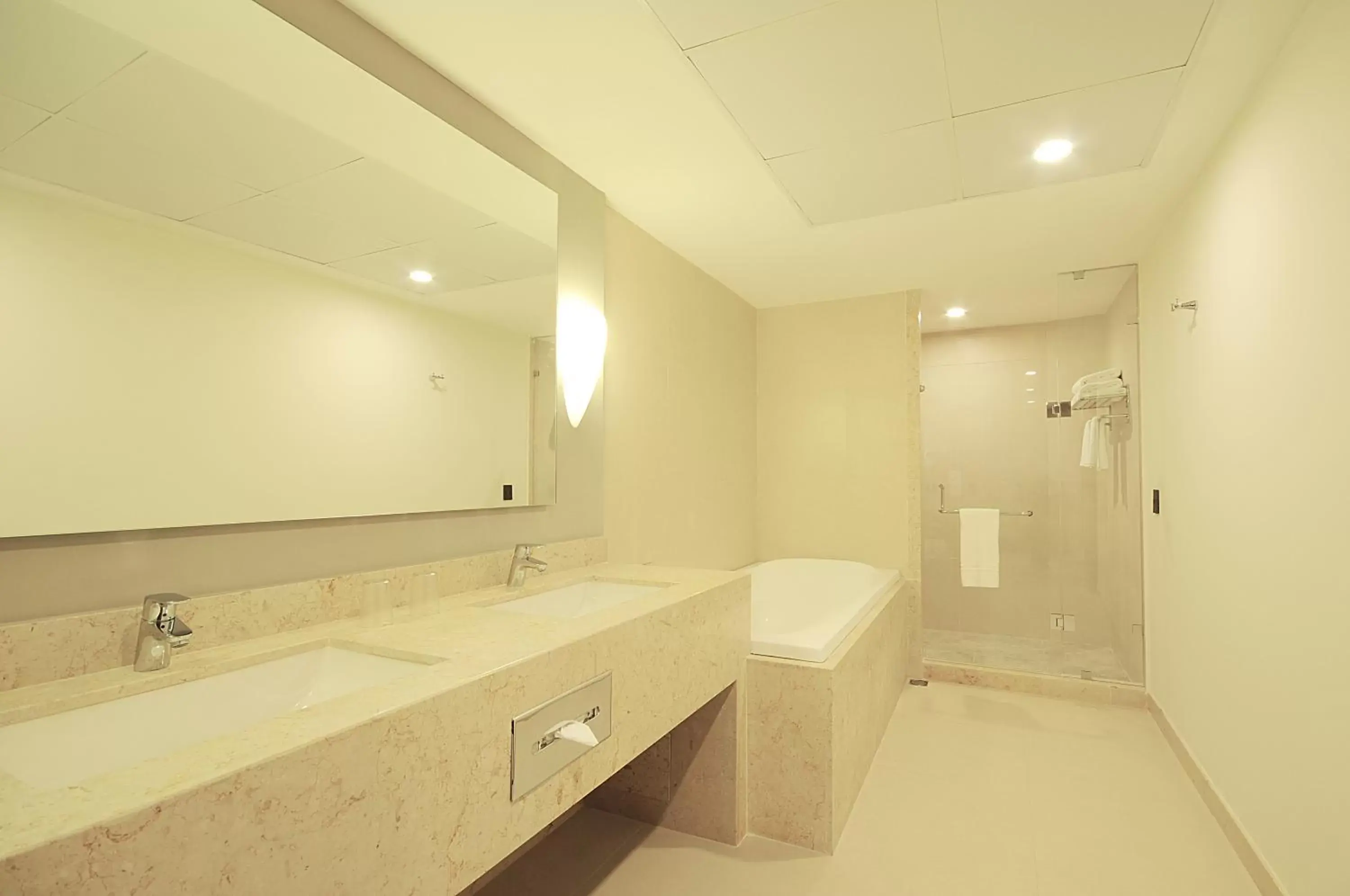 Bathroom in Holiday Inn Express Puerto Vallarta, an IHG Hotel