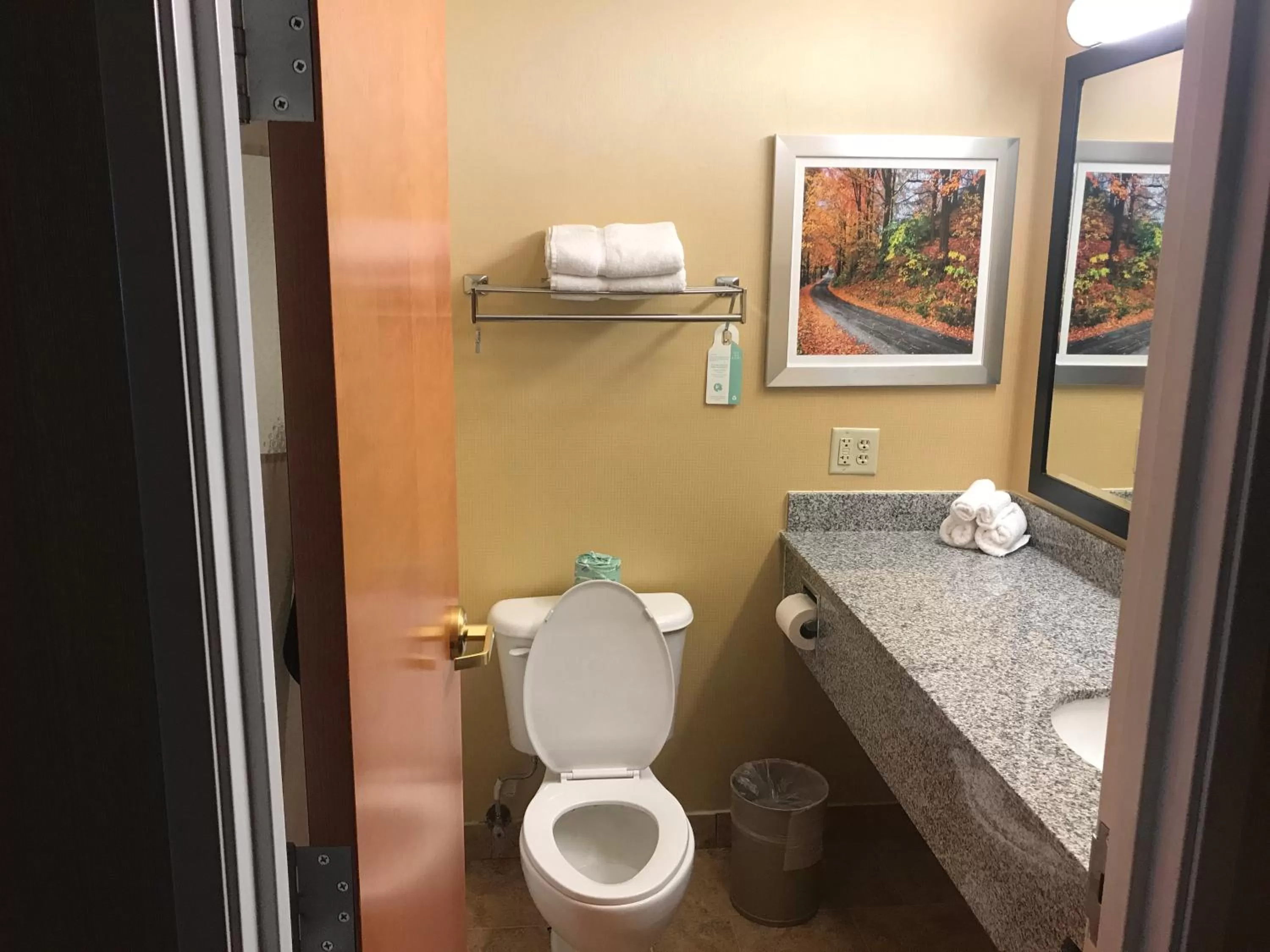 Toilet in Best Western Plus New England Inn & Suites