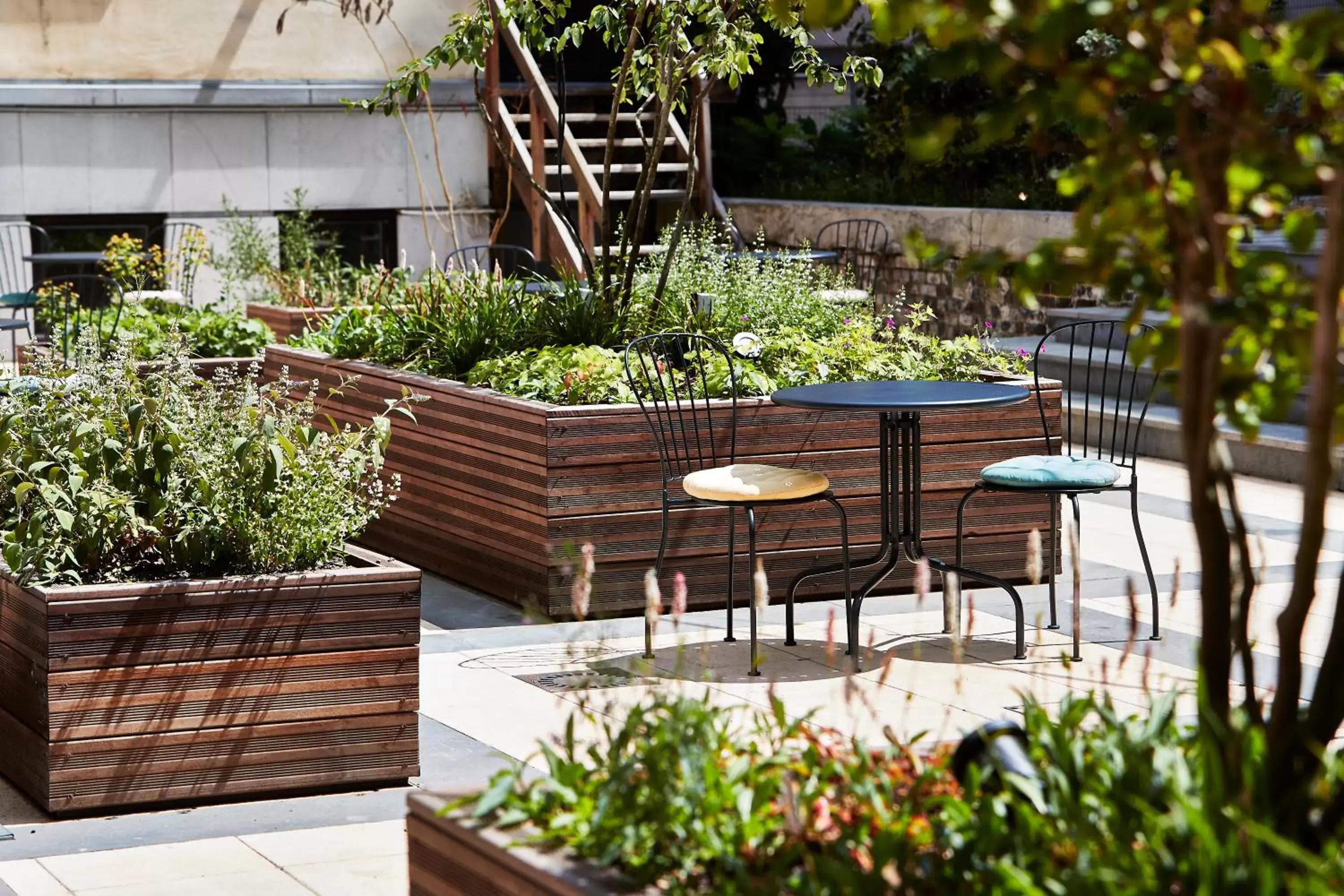 Garden in Urban Yard Hotel