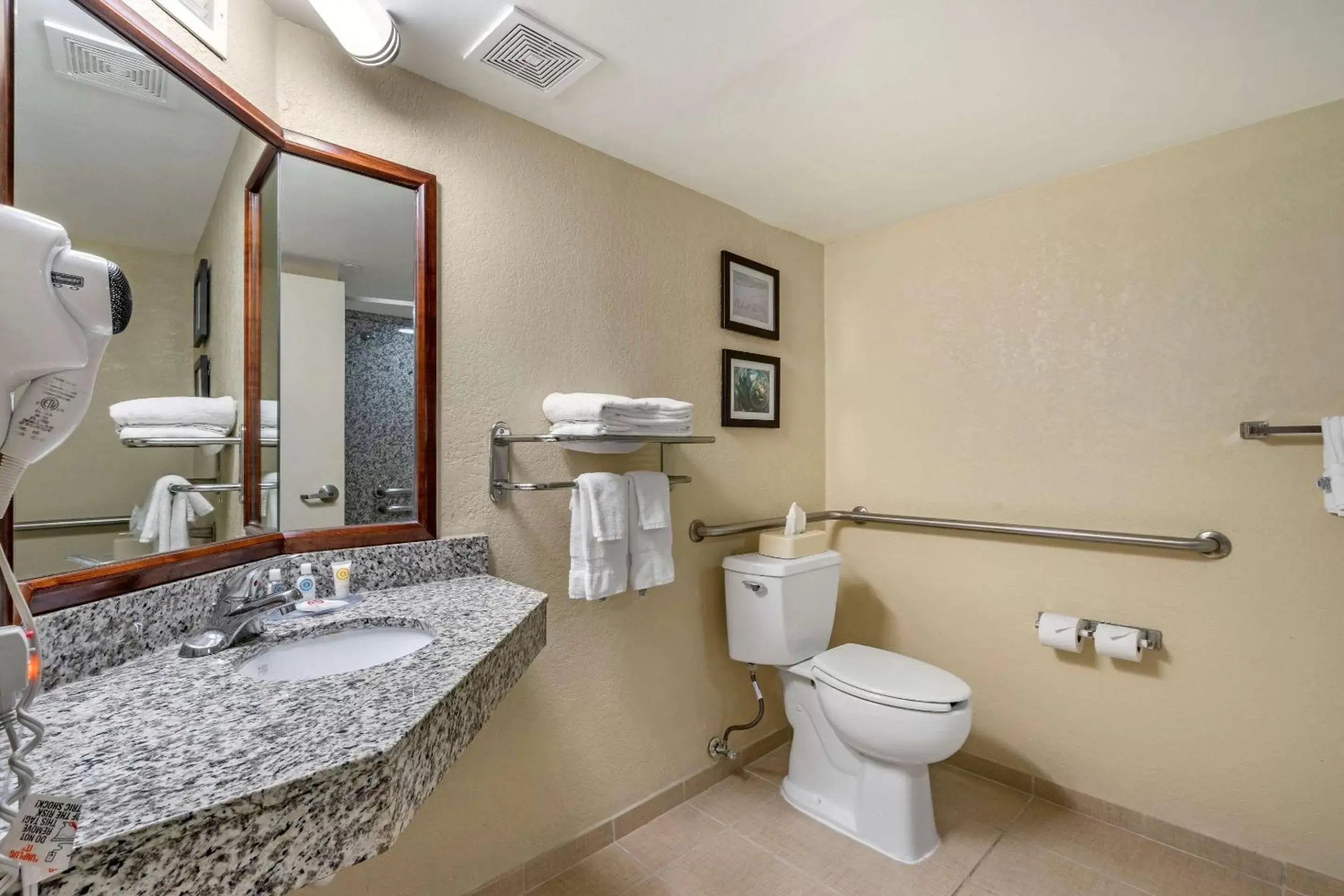 Bathroom in Comfort Inn & Suites St Pete - Clearwater International Airport