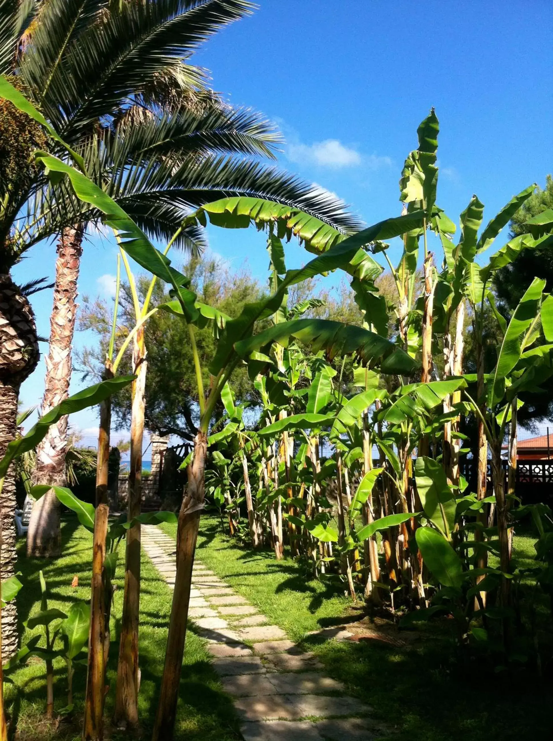 Garden in Villa Giada