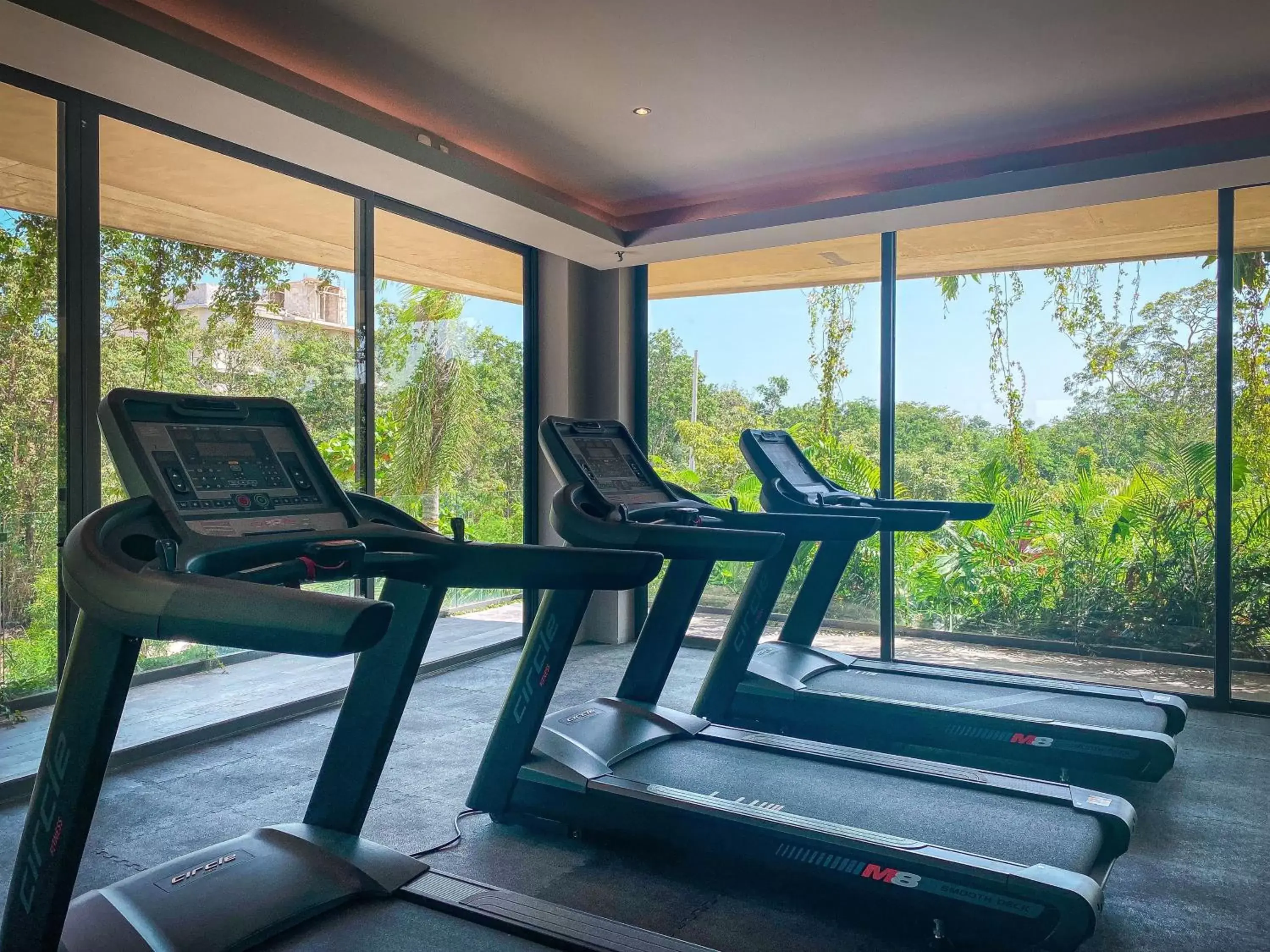 Fitness centre/facilities, Fitness Center/Facilities in MISTIQ Tulum Luxury Apartments