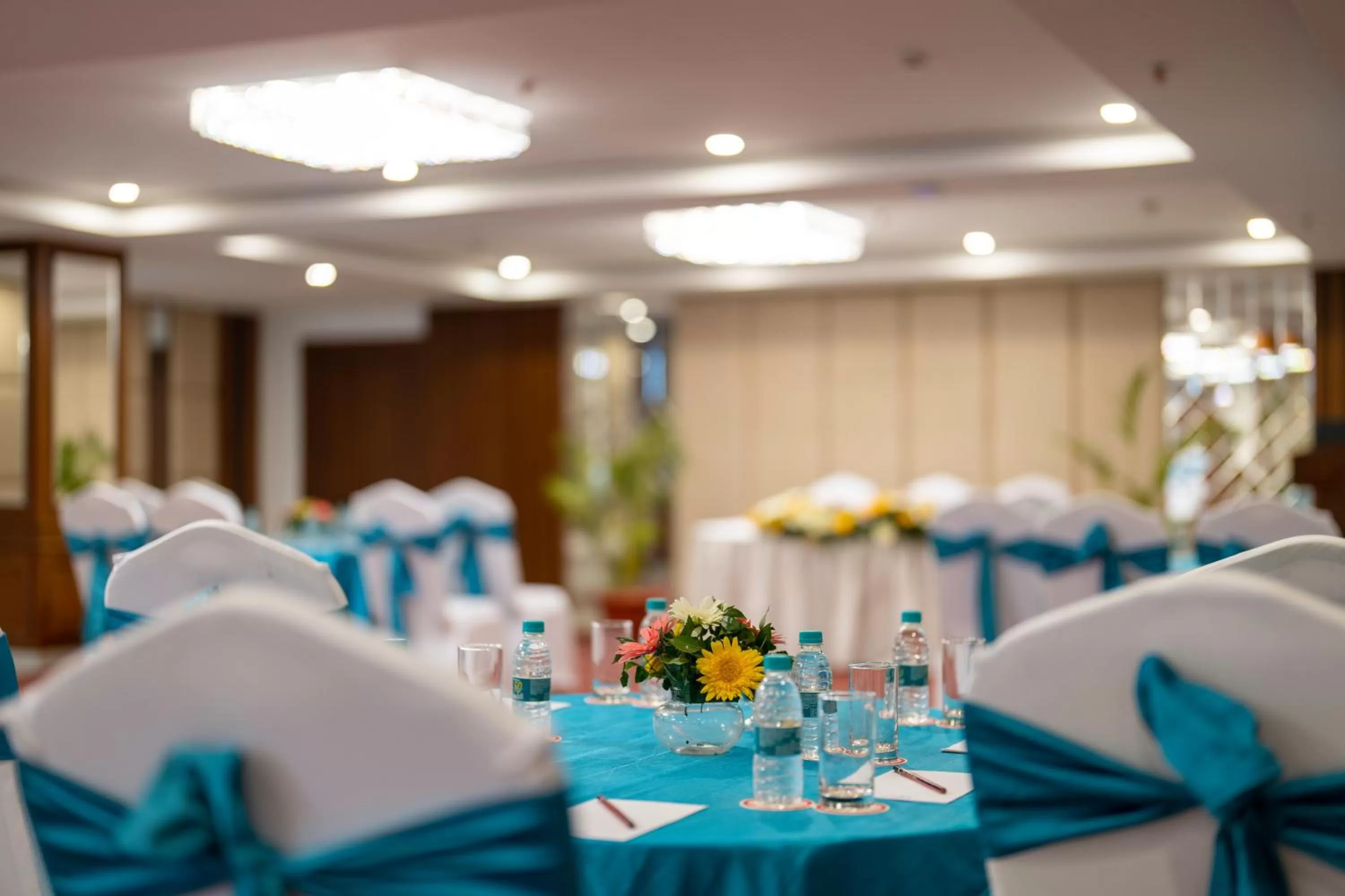 Banquet/Function facilities in Cygnett Inn Paras