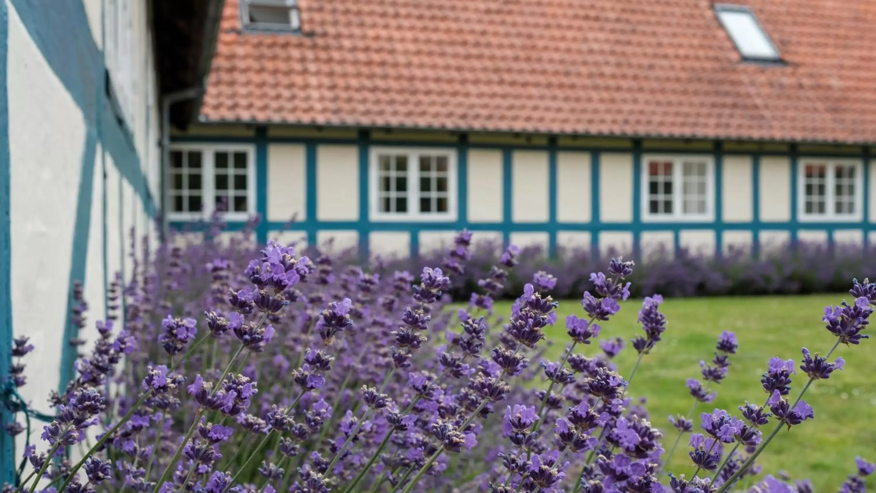 Garden, Property Building in Hotel Knudsens Gaard