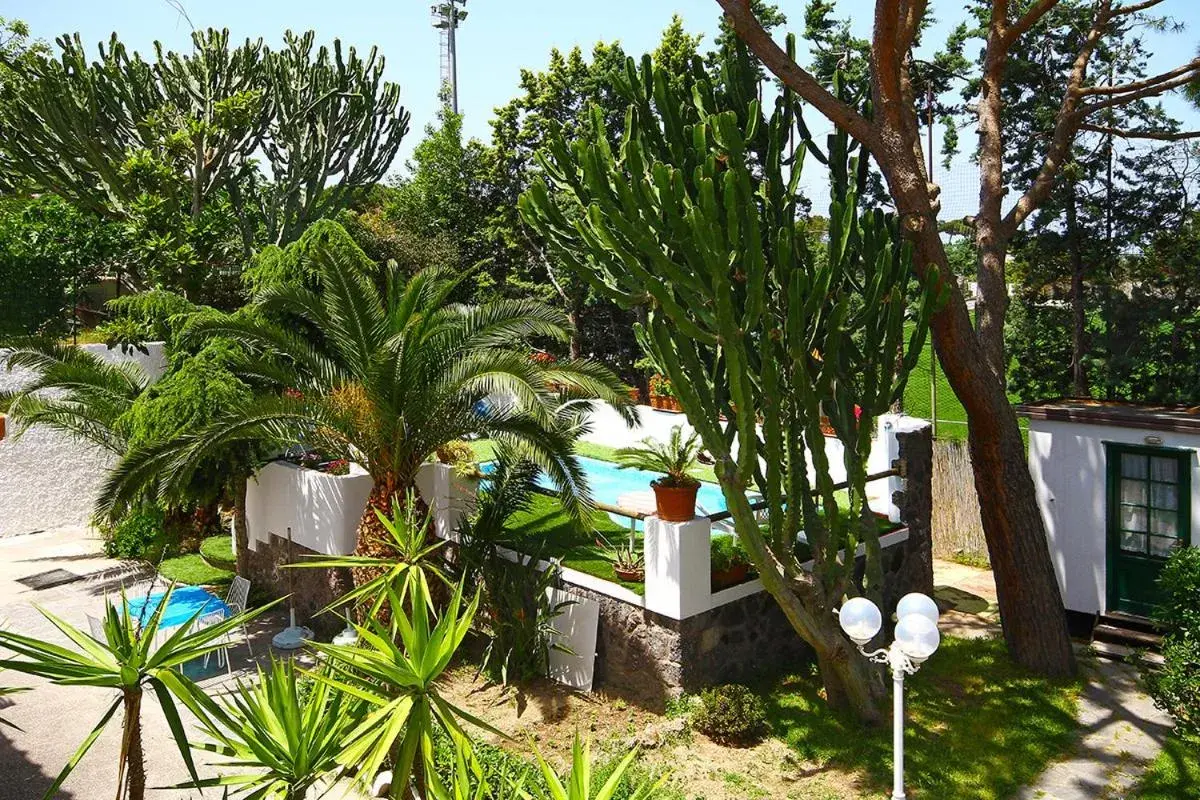 Garden, Pool View in Hotel Park Calitto