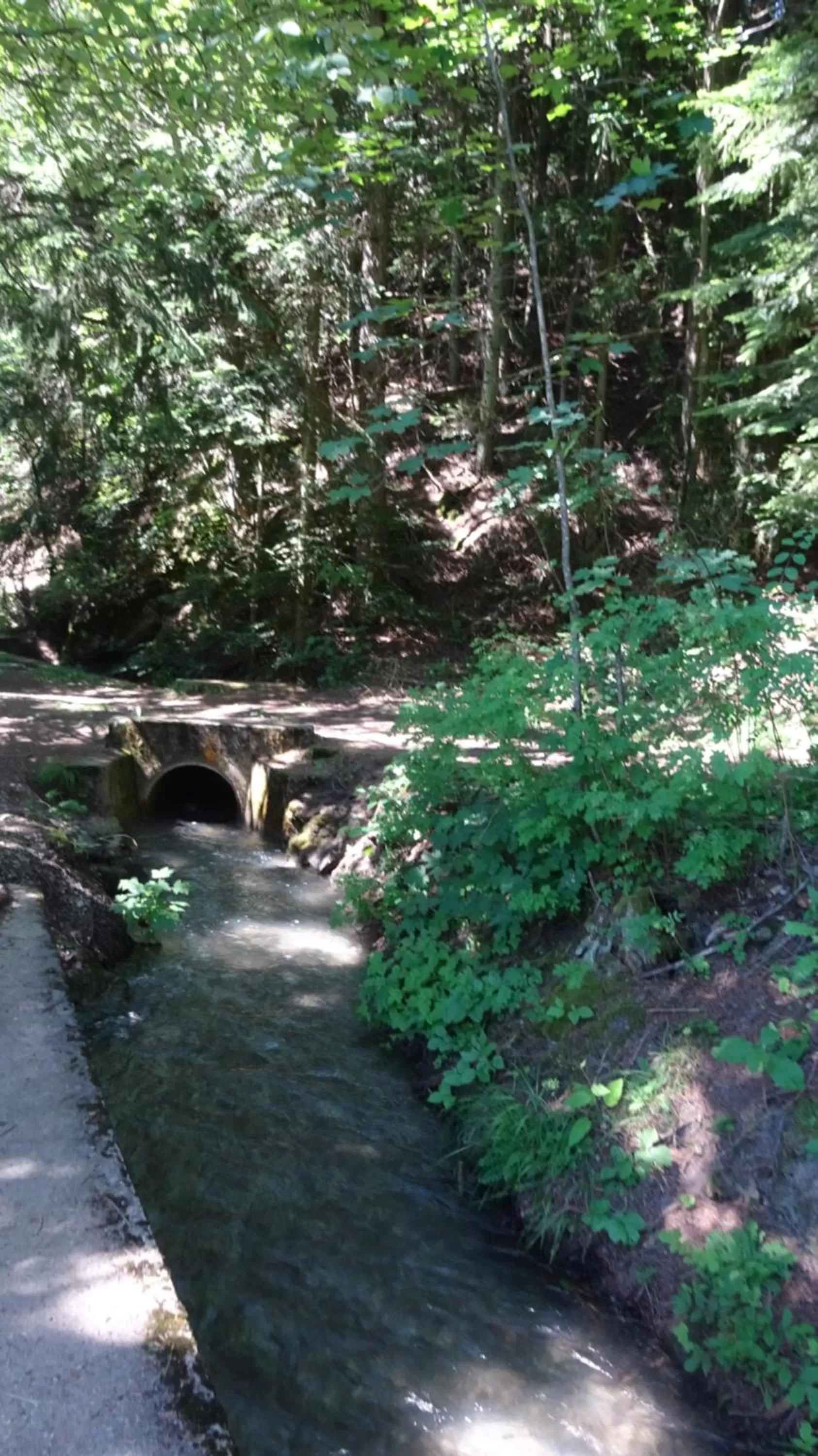 Activities in la grange à Caroline