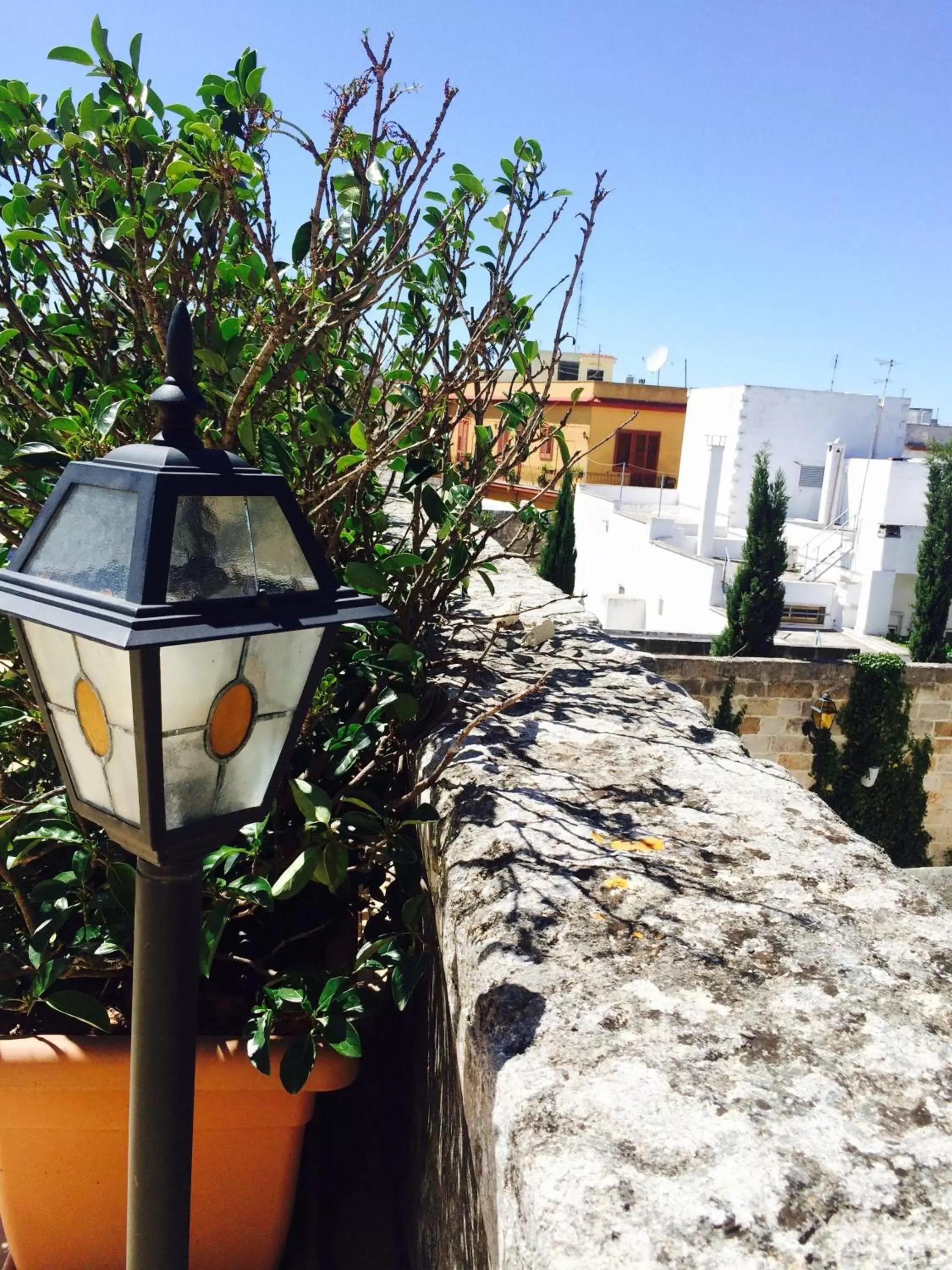 Garden in Castello Conti Filo