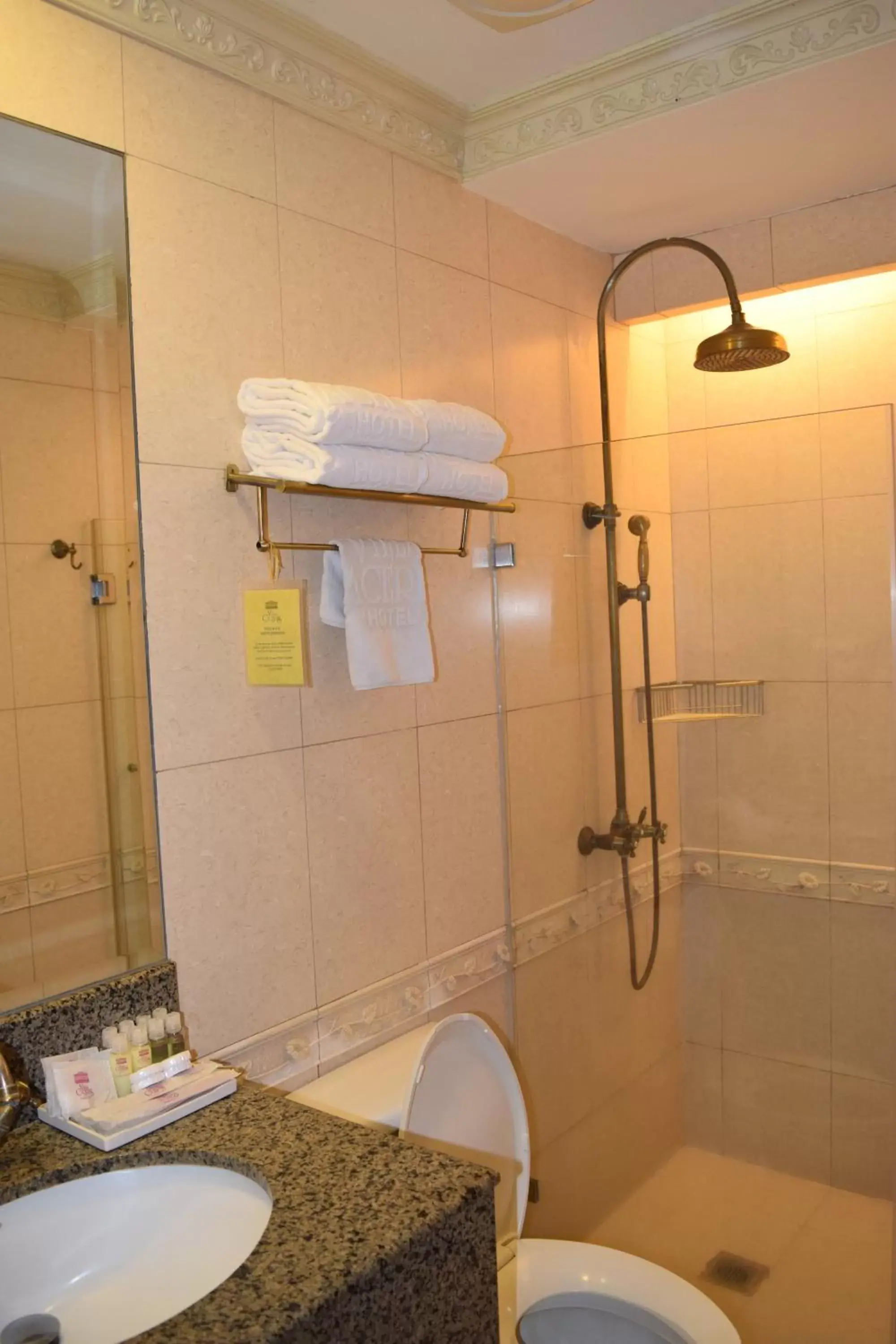 Shower, Bathroom in Villa Caceres Hotel