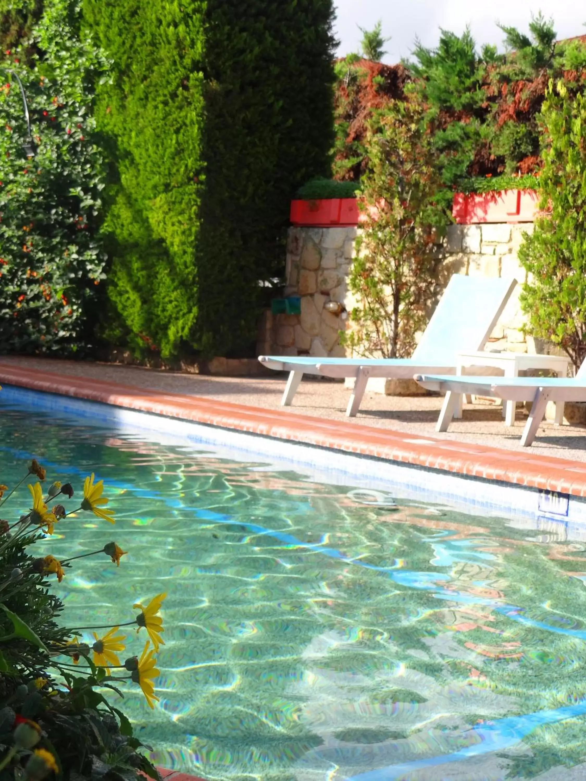 Day, Swimming Pool in Hotel Aeollos