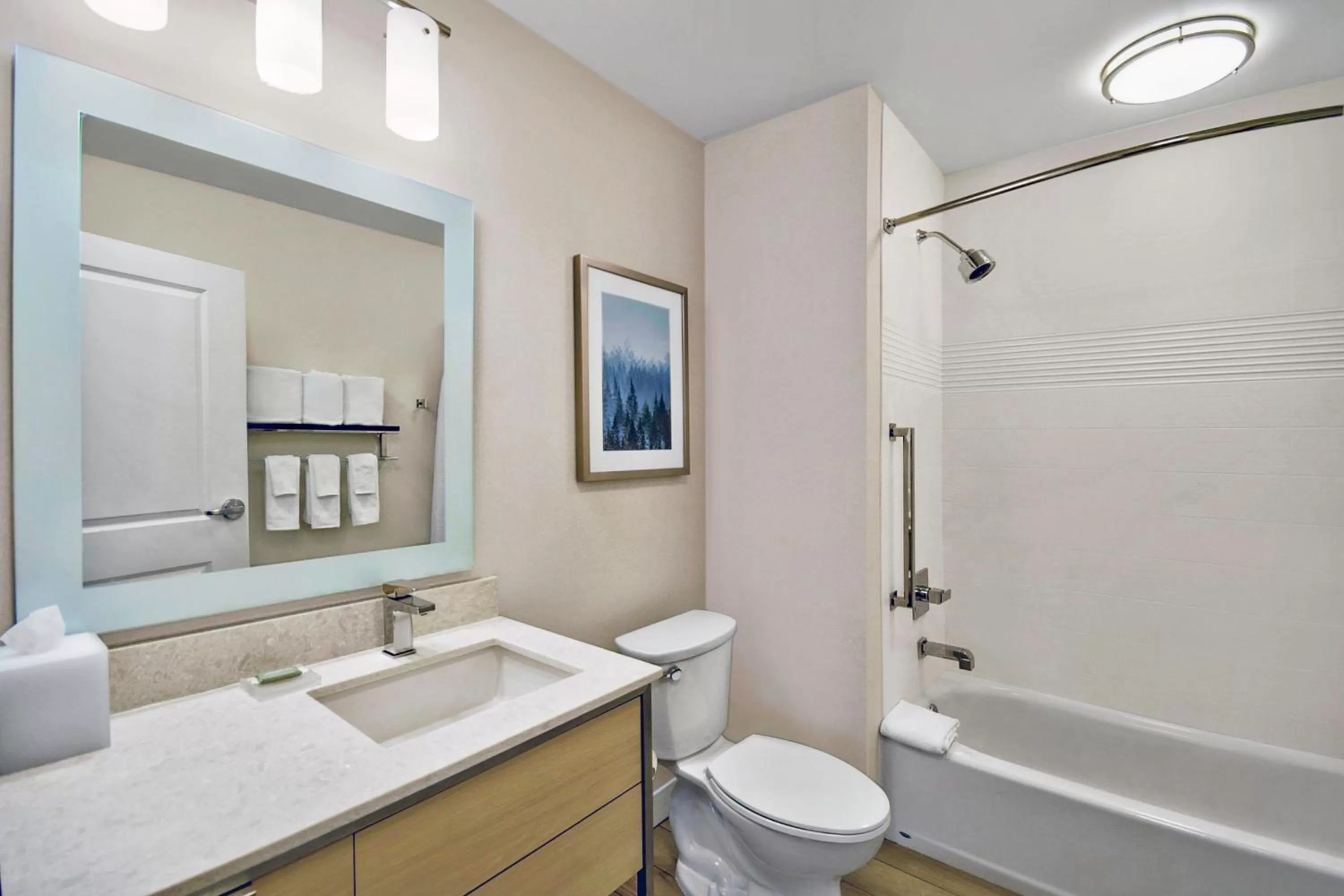 Bathroom in TownePlace Suites by Marriott Asheville West