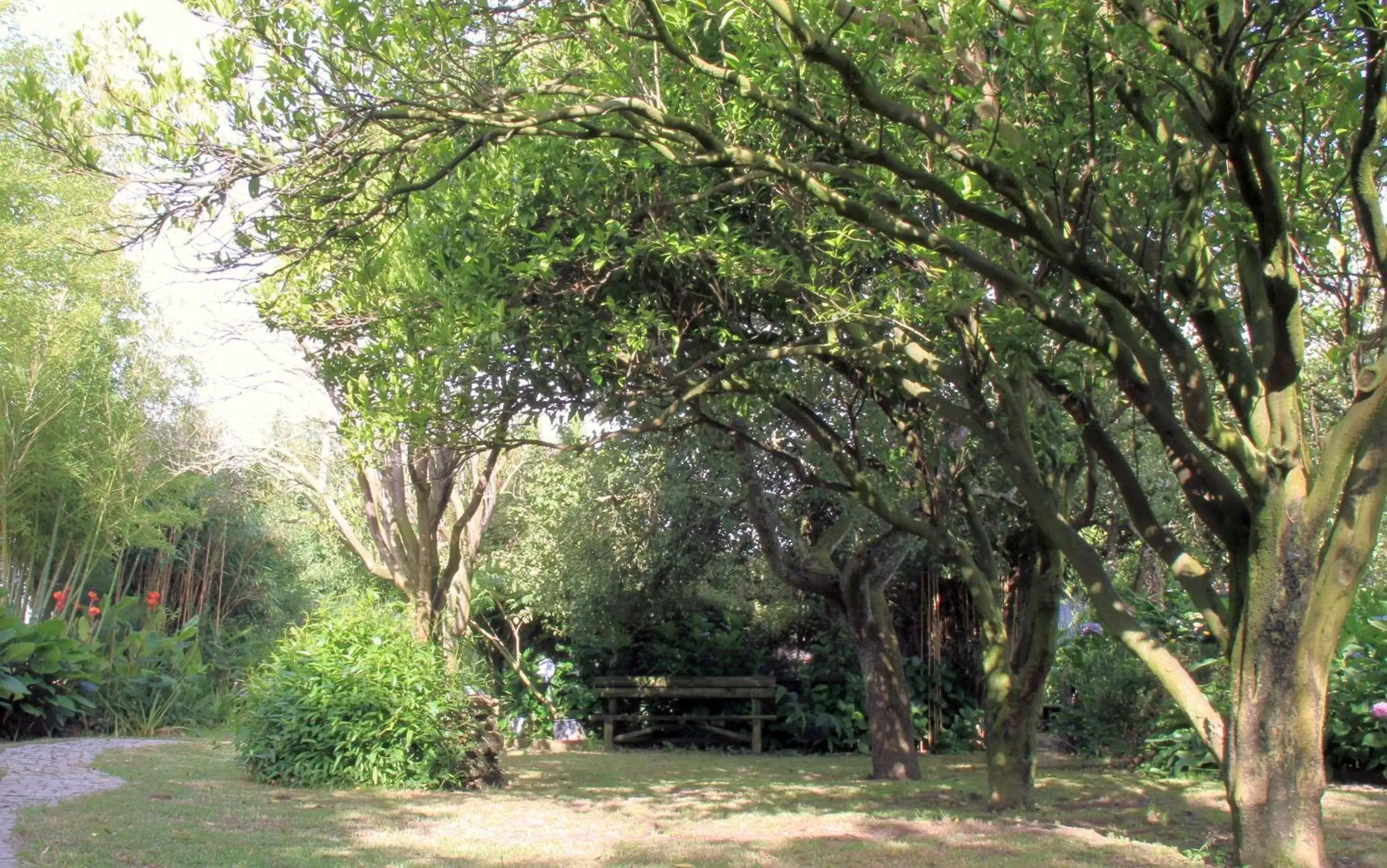 Garden in Casa 3 Águias