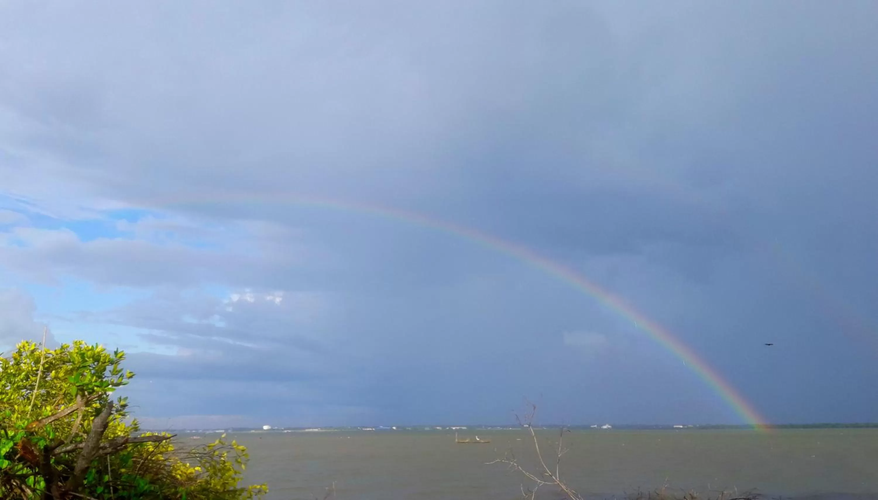View (from property/room) in Nico Lagoon Hotel