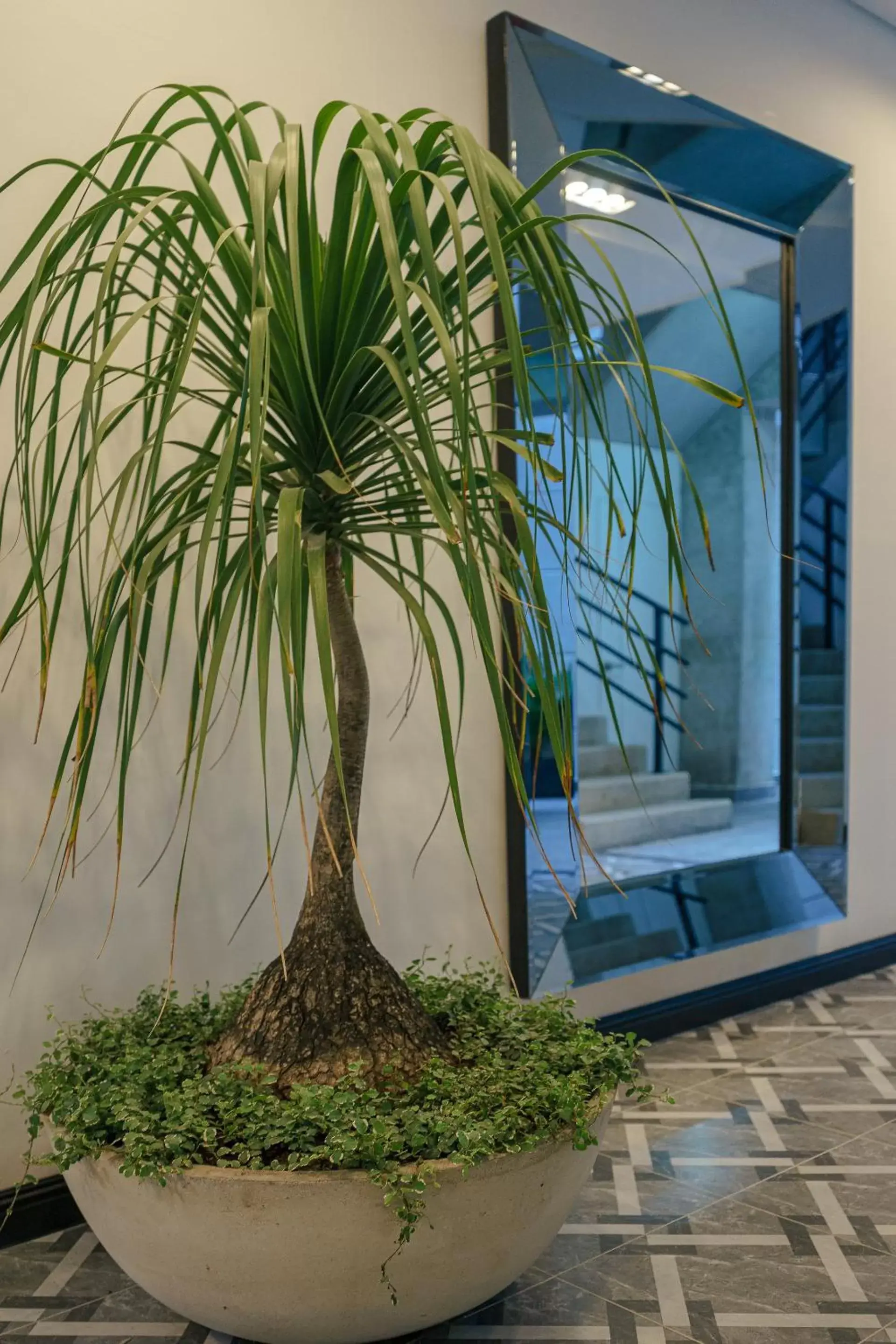 Garden view in First Class Hotel Garden view in First Class Hotel