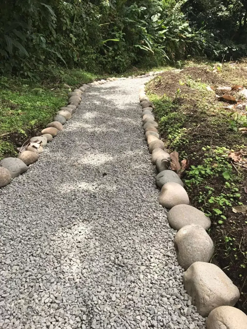 Natural landscape in Arenal Roca Suites