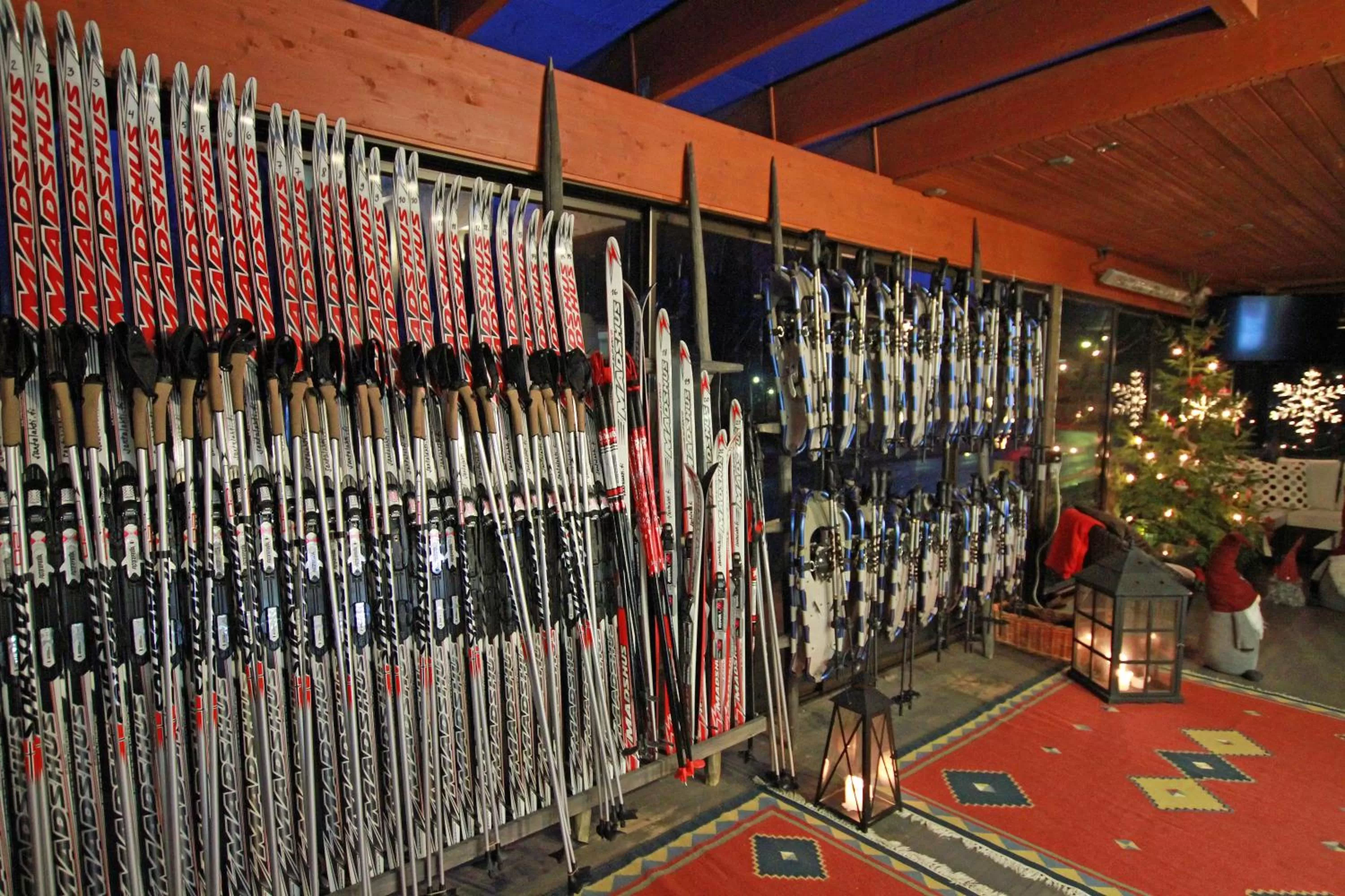 Skiing in Santalahti Resort Cottages & Villas