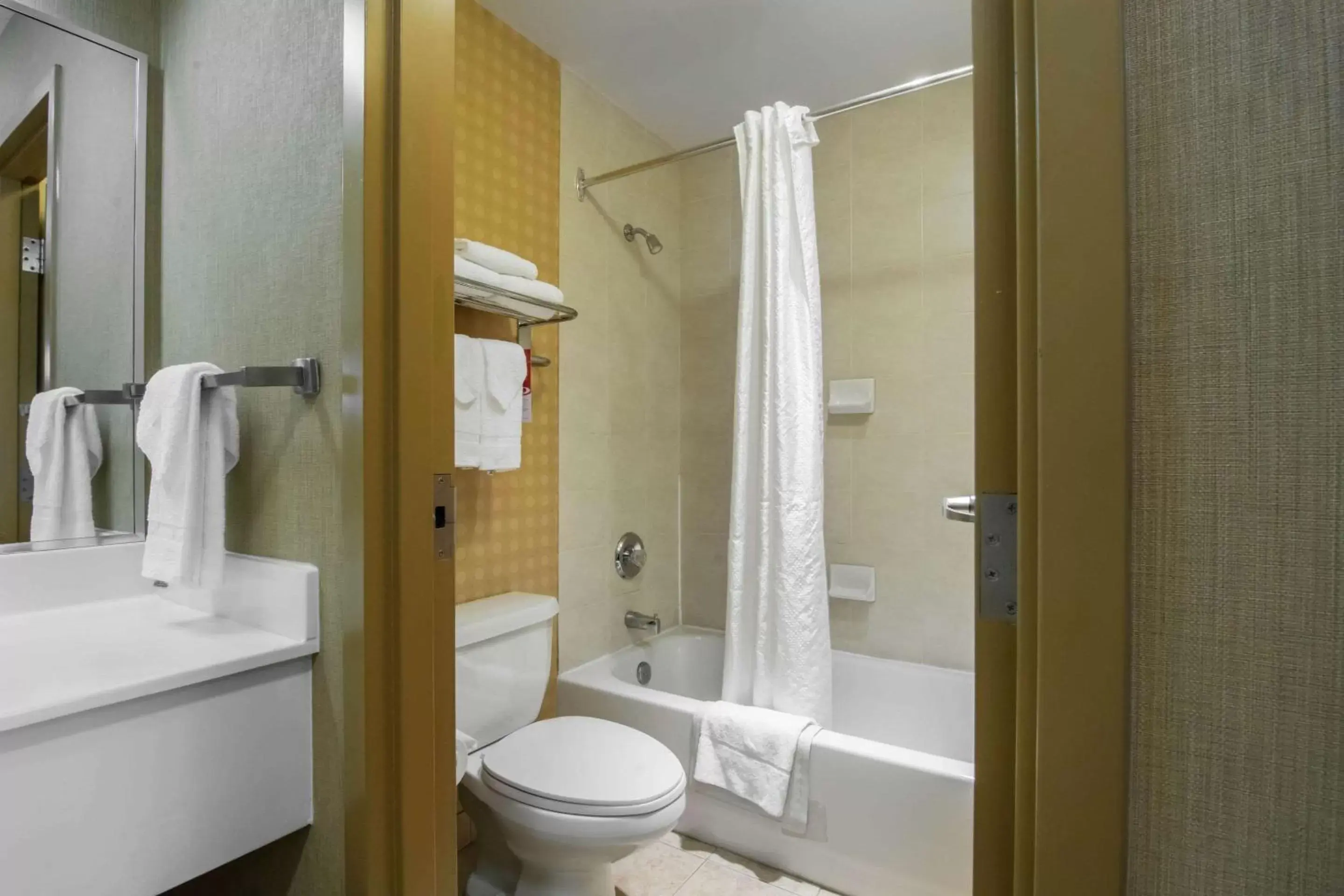 Bedroom, Bathroom in Econo Lodge Inn & Suites University