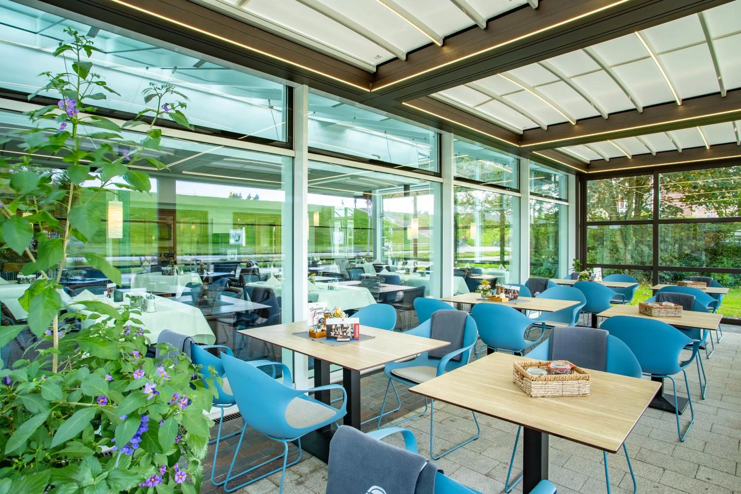 Balcony/Terrace in Hotel Regina Maris