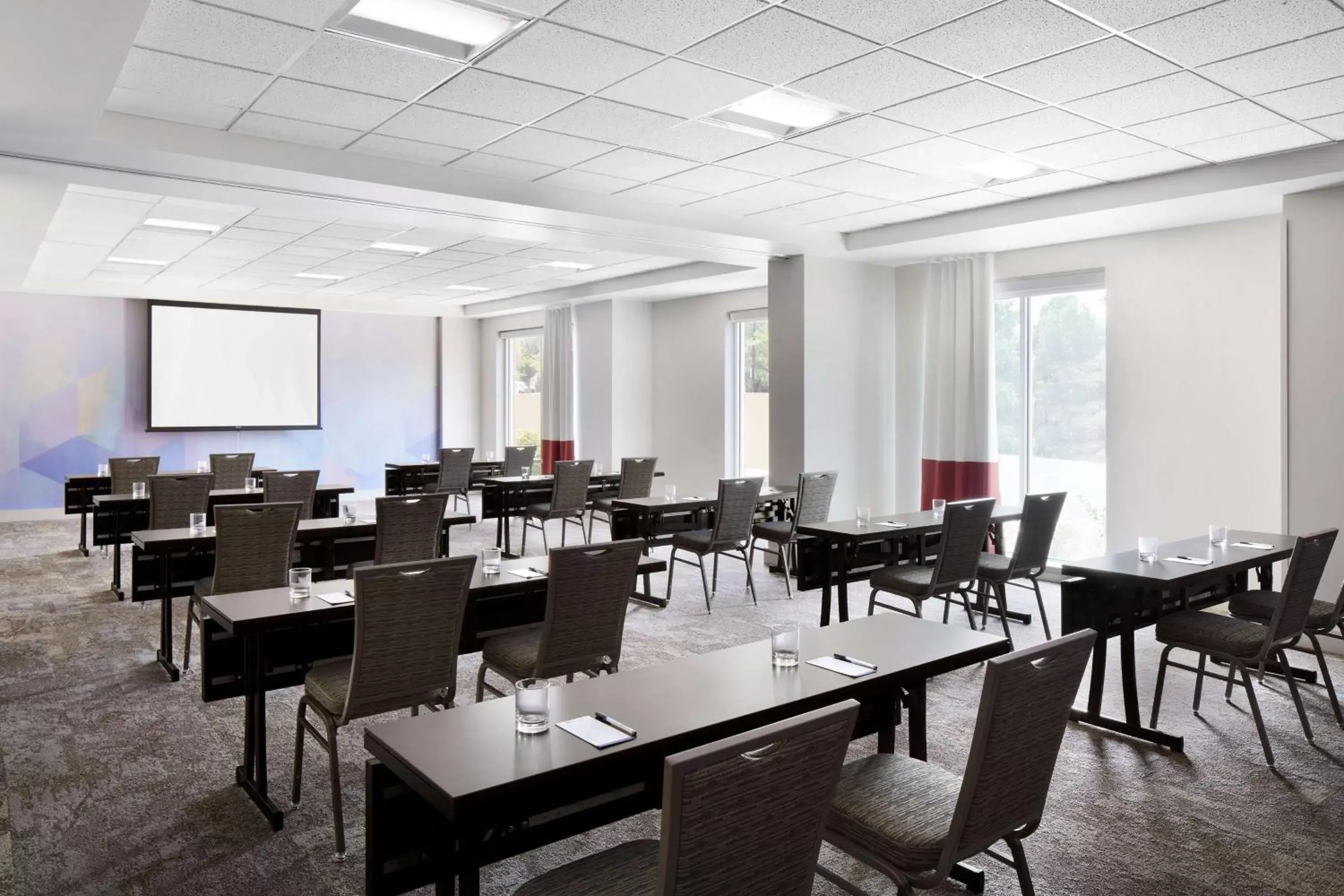 Meeting/conference room in Hilton Garden Inn Denver South Park Meadows Area