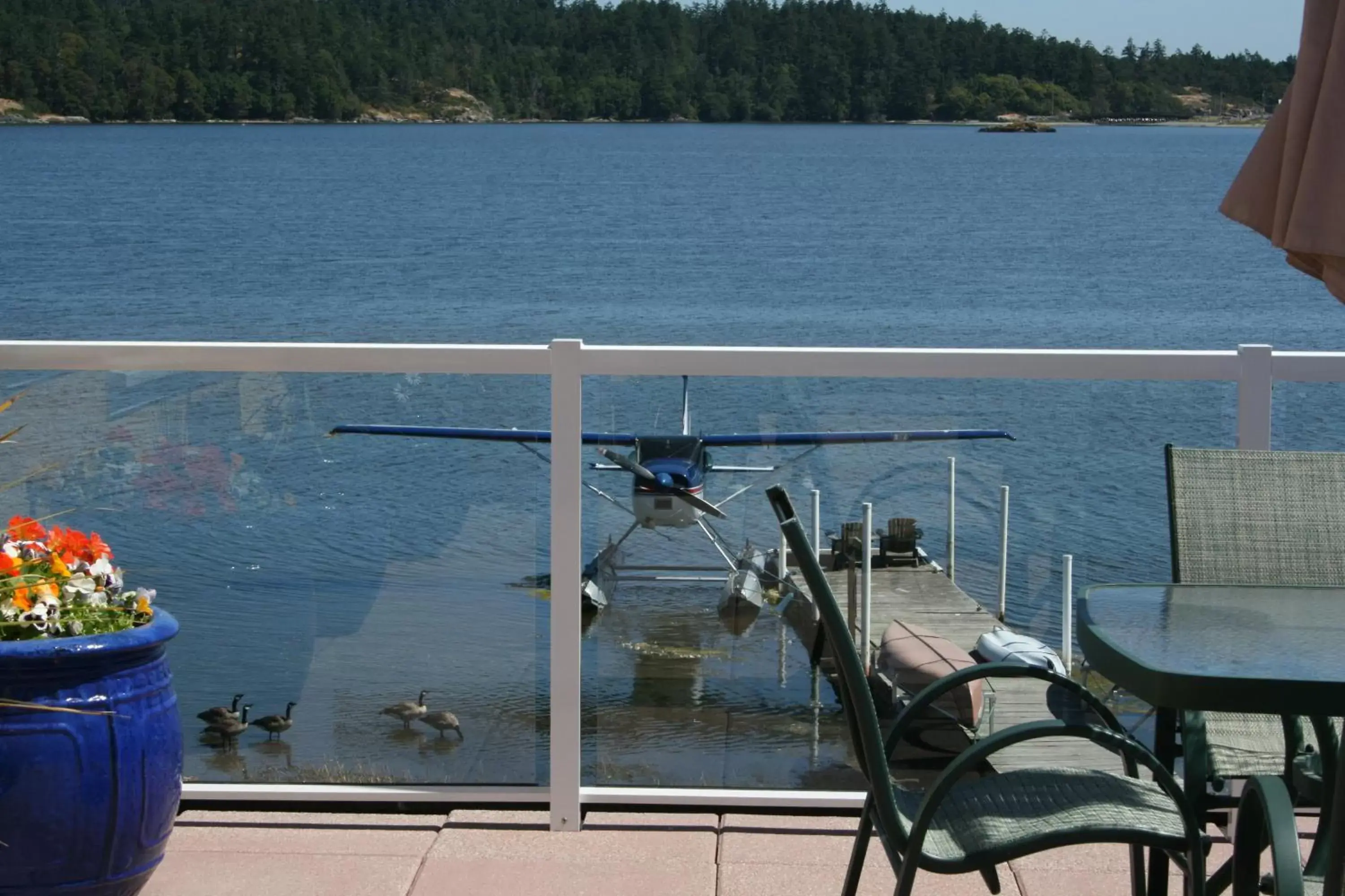 Balcony/Terrace in Birds of a Feather Ocean Lagoon Victoria Condos