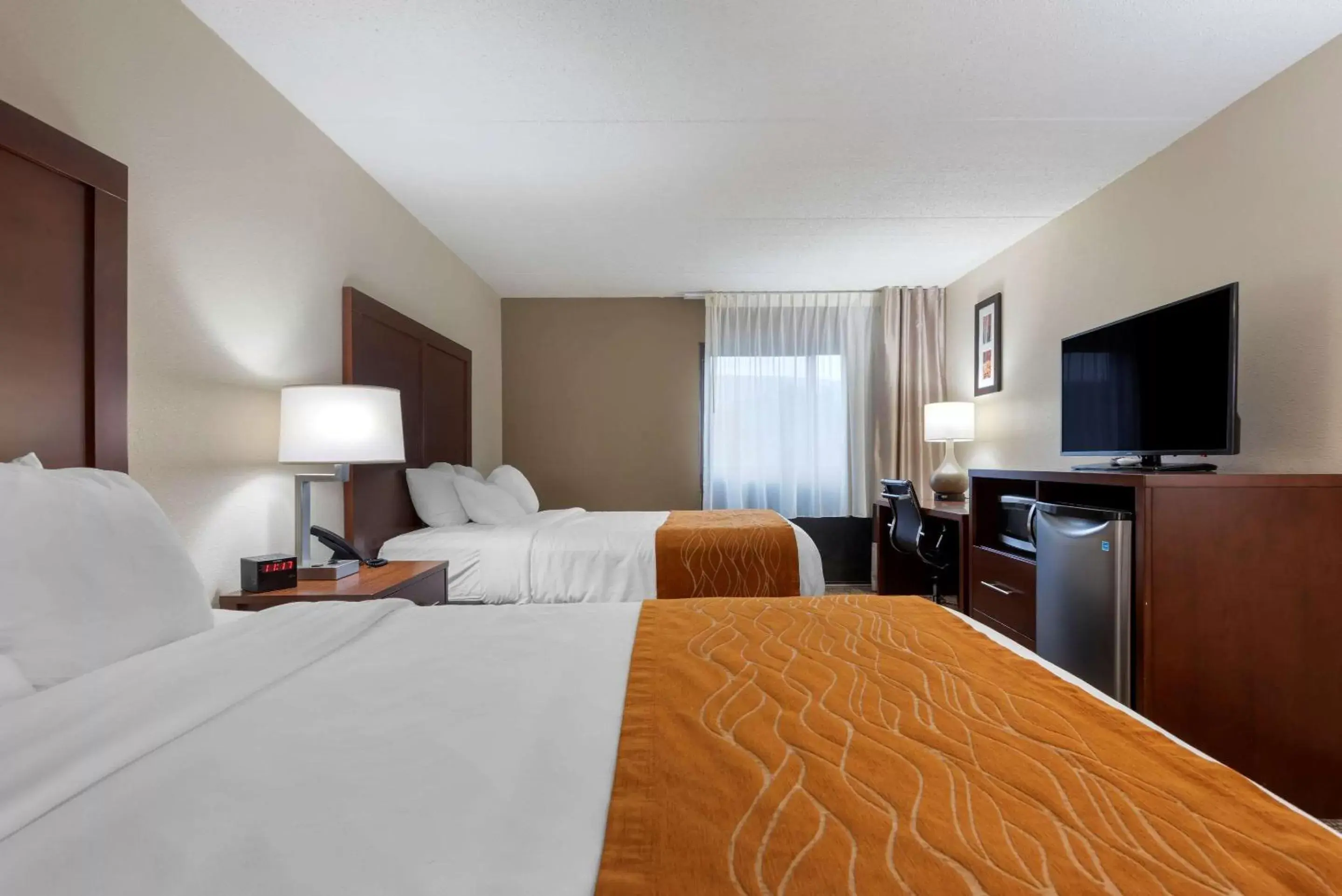 Photo of the whole room, Bed in Comfort Inn Binghamton I-81