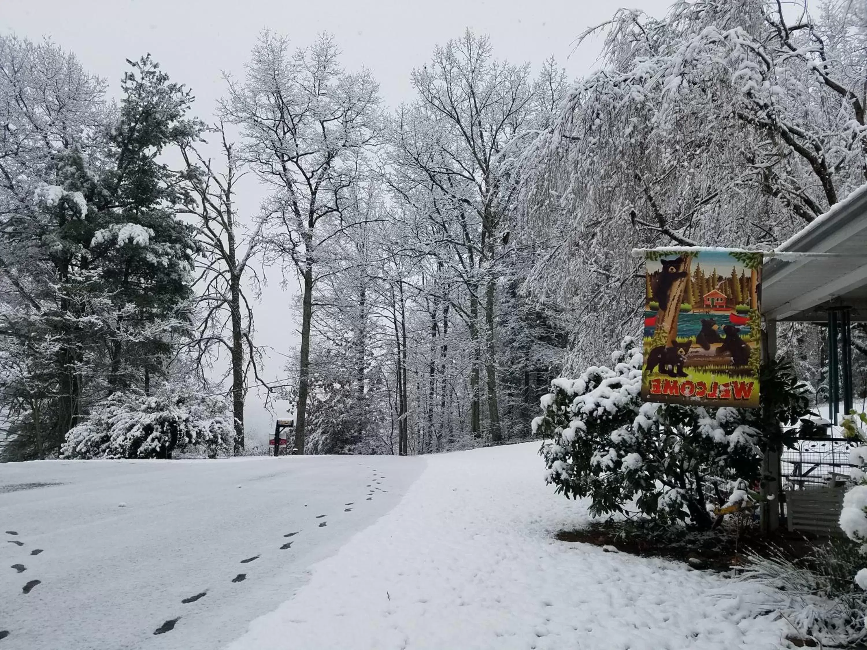 Blue Ridge Manor Bed and Breakfast Blue Ridge Manor Bed and Breakfast