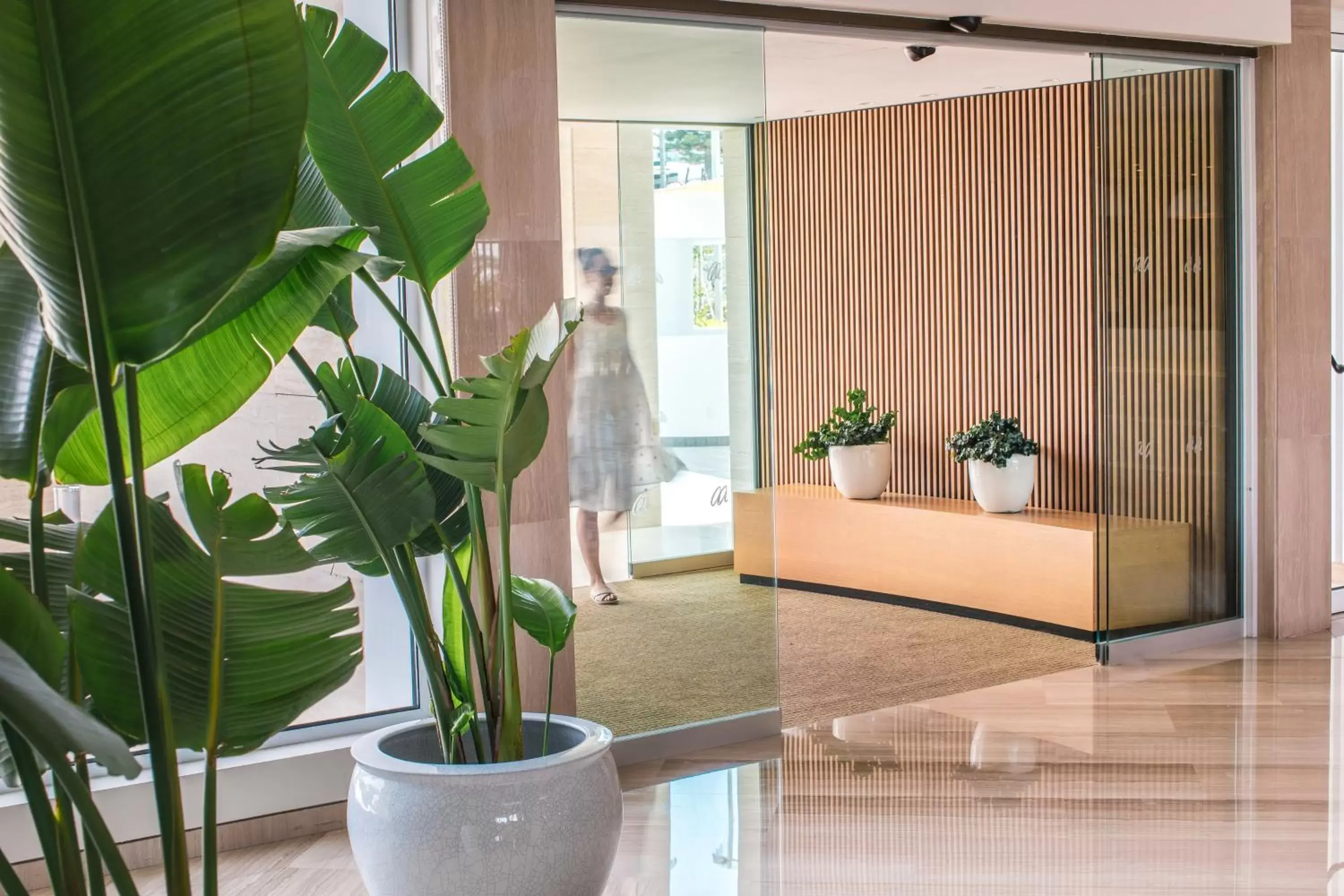 Facade/entrance in Alion Beach Hotel Facade/entrance in Alion Beach Hotel