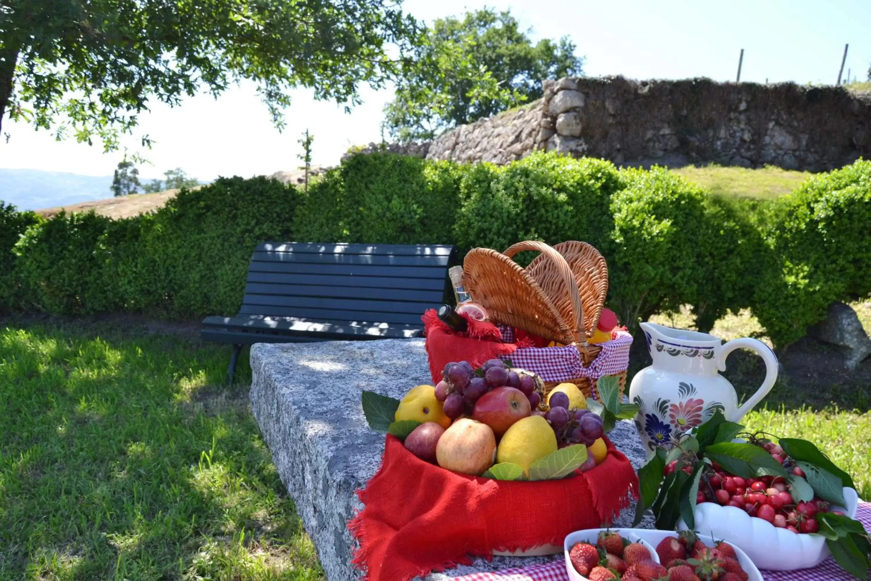 Garden in Casa da Portela de Sampriz