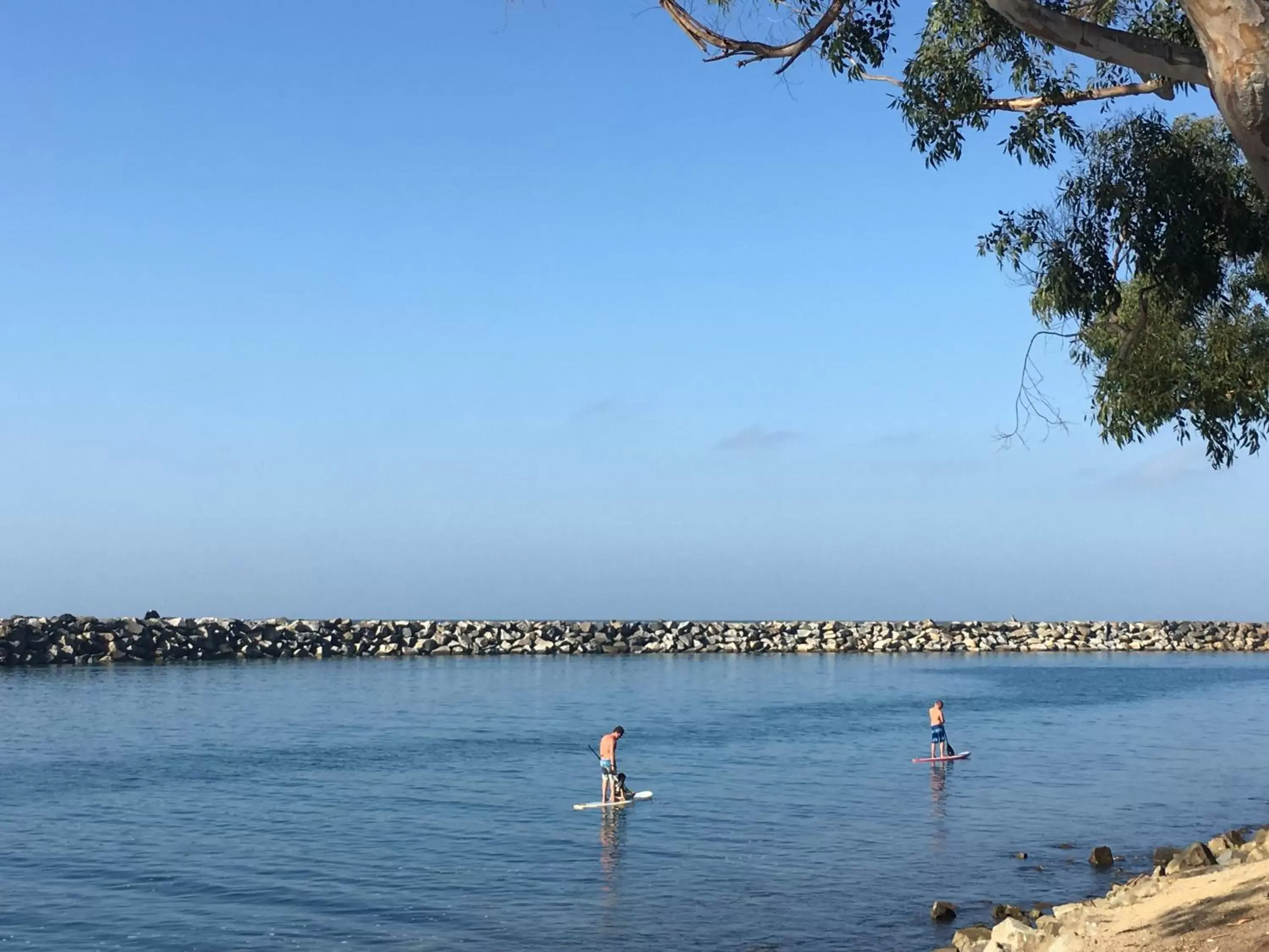 Beach in Dana Point Marina Inn