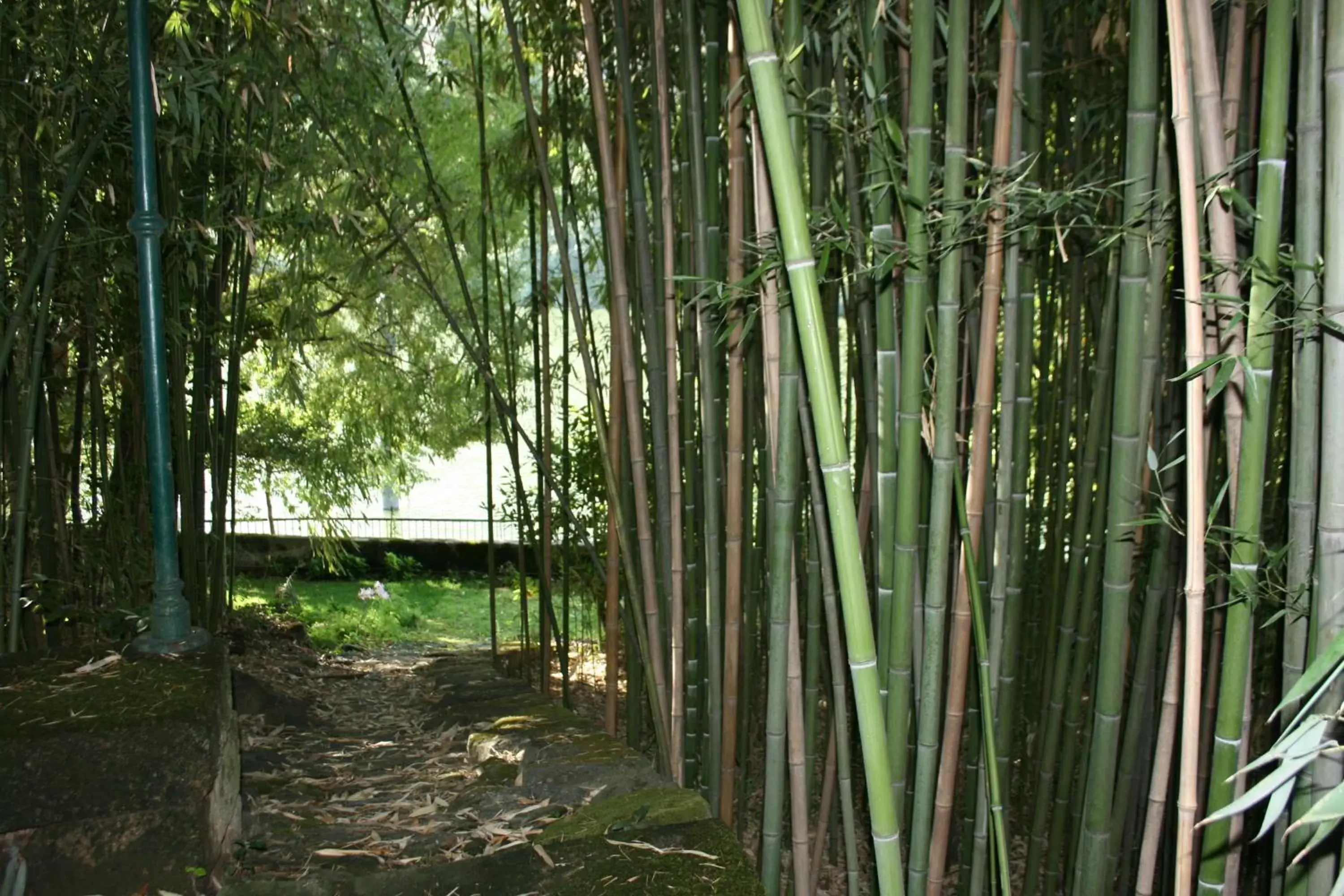 Garden in Quinta da Ermida - Turismo de Habitacao
