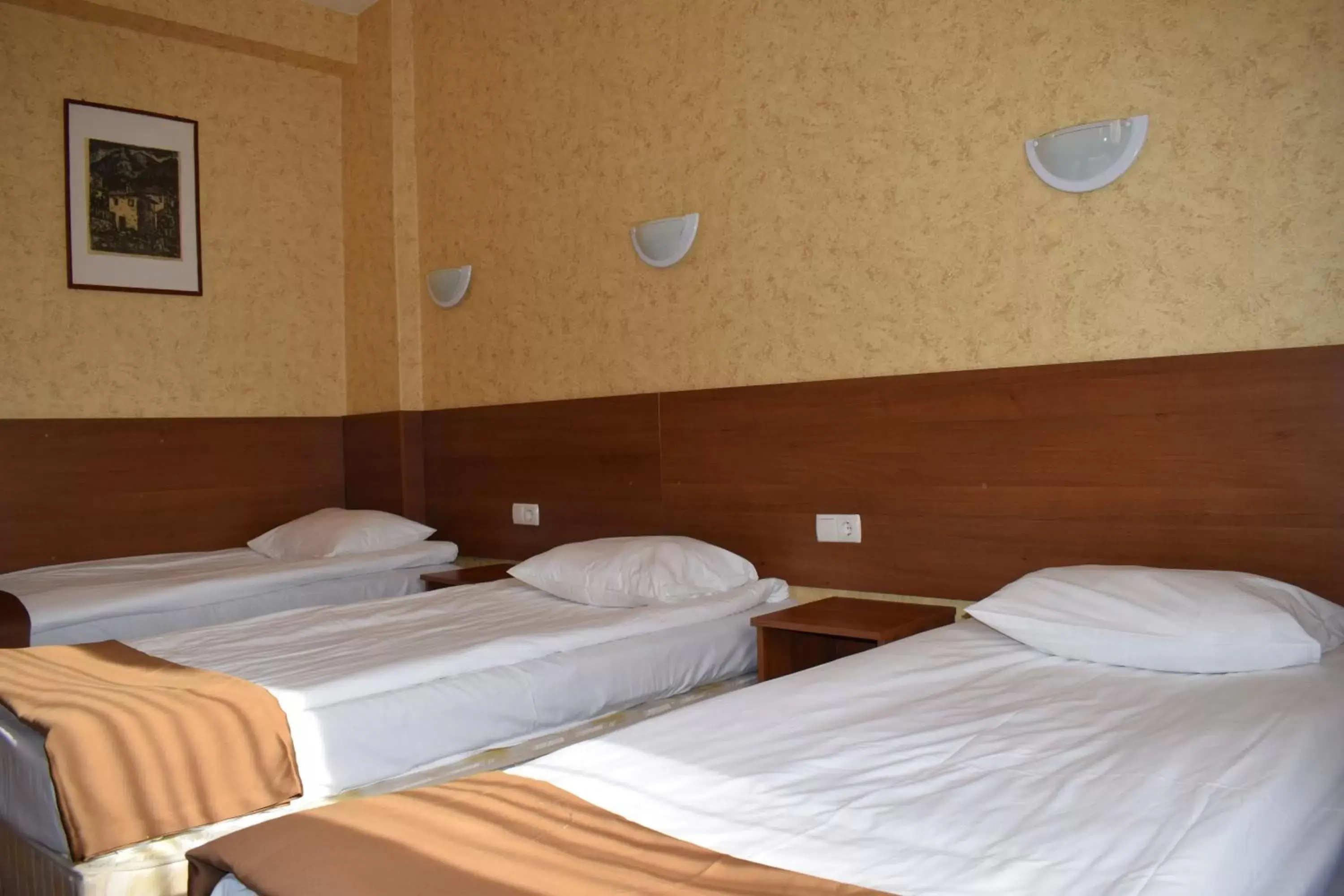 Bed in Slavyanska Beseda Hotel